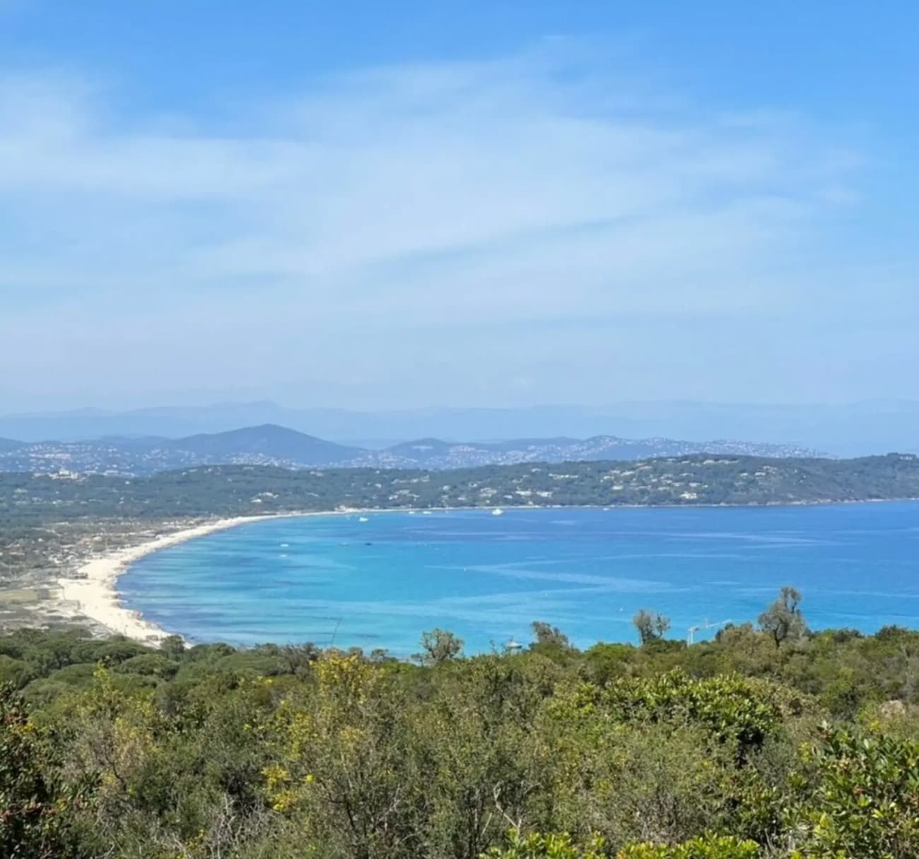 Randonnée sentier du littoral Saint-Tropez : vue sur végétation verdoyante et étendue d'eau bleue