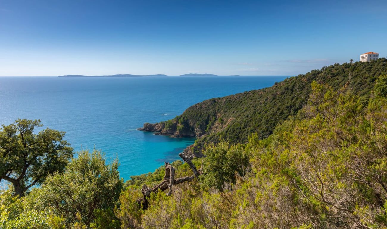 Randonnée sentier du littoral Le Lavandou : vue de la falaise verdoyante sur eau bleue