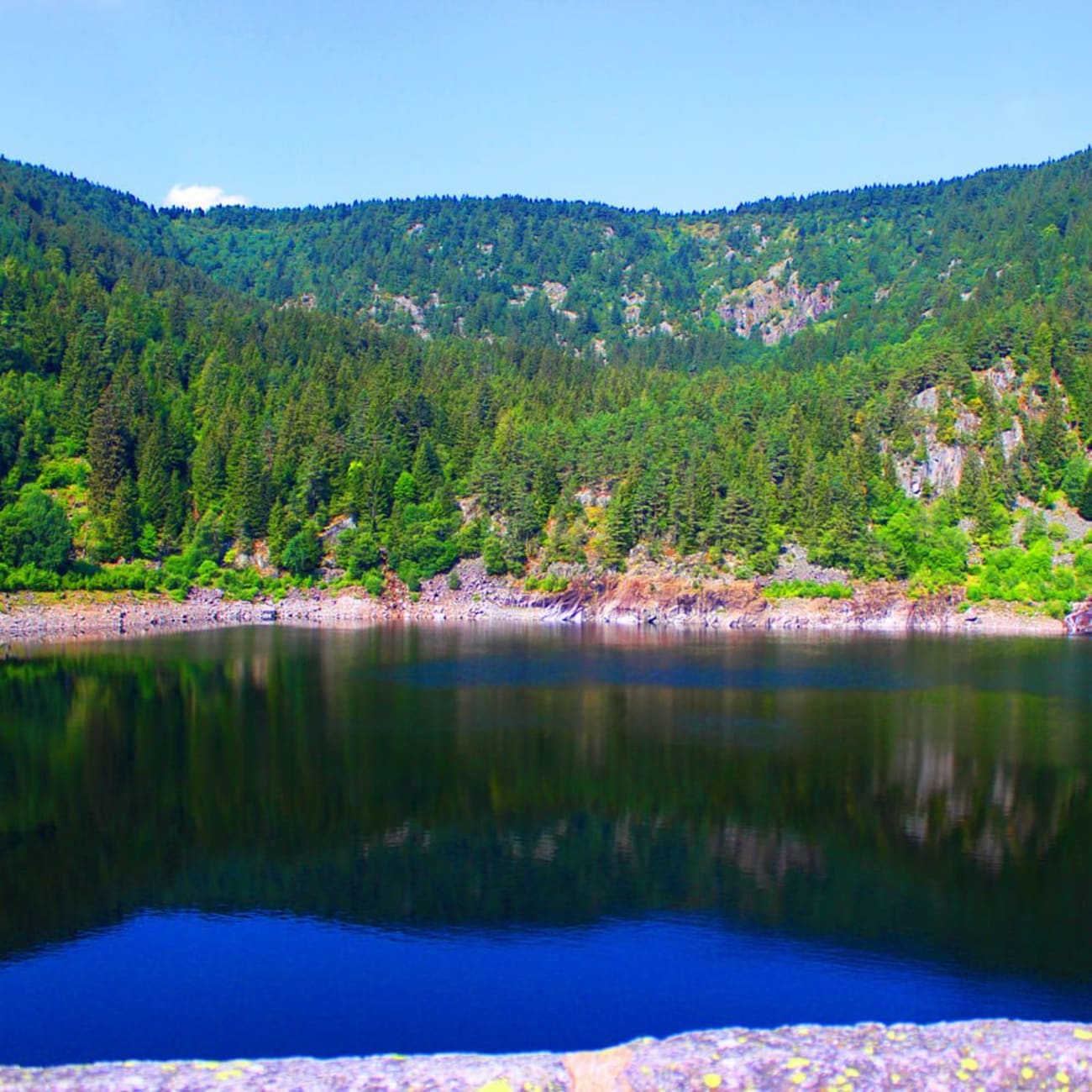 Randonnée lac des Truites : étendue d'eau entourée de sapins verts et de montagnes