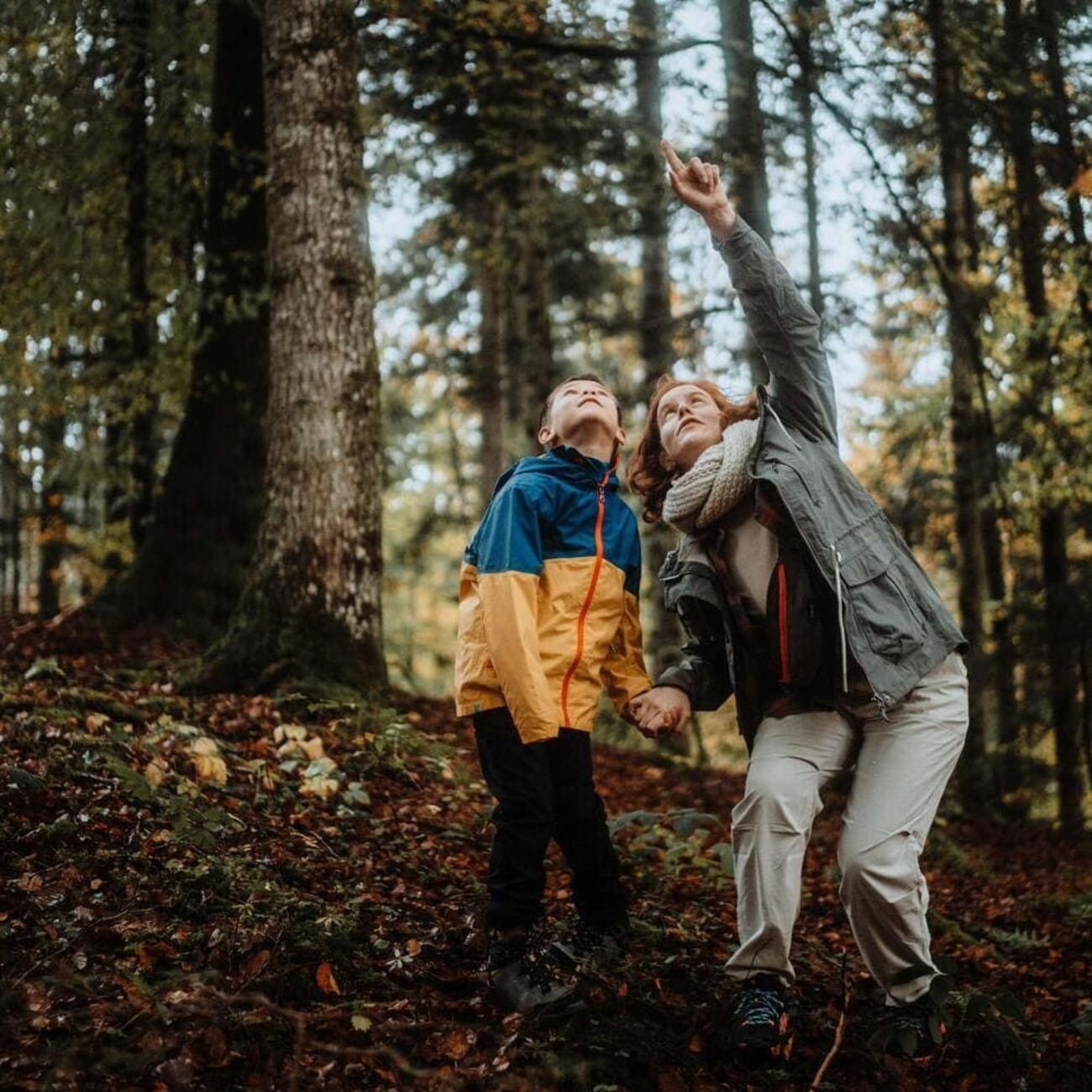 Randonnée automne : femme avec enfant dans forêt qui pointe son doigt vers le ciel