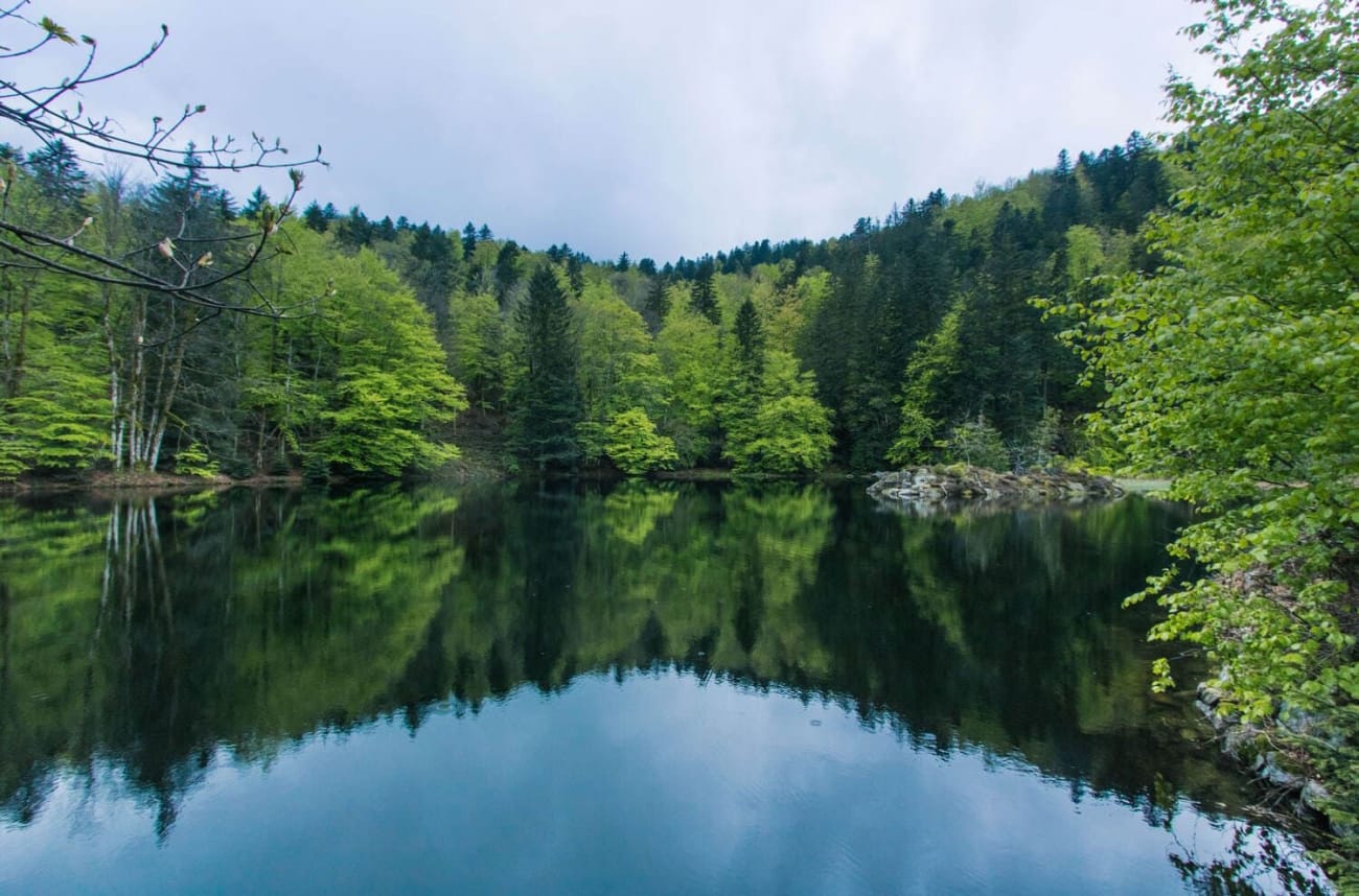 Randonnée lac de la Lauch : étendue d'eau avec reflet des sapins verdoyants l'entourant