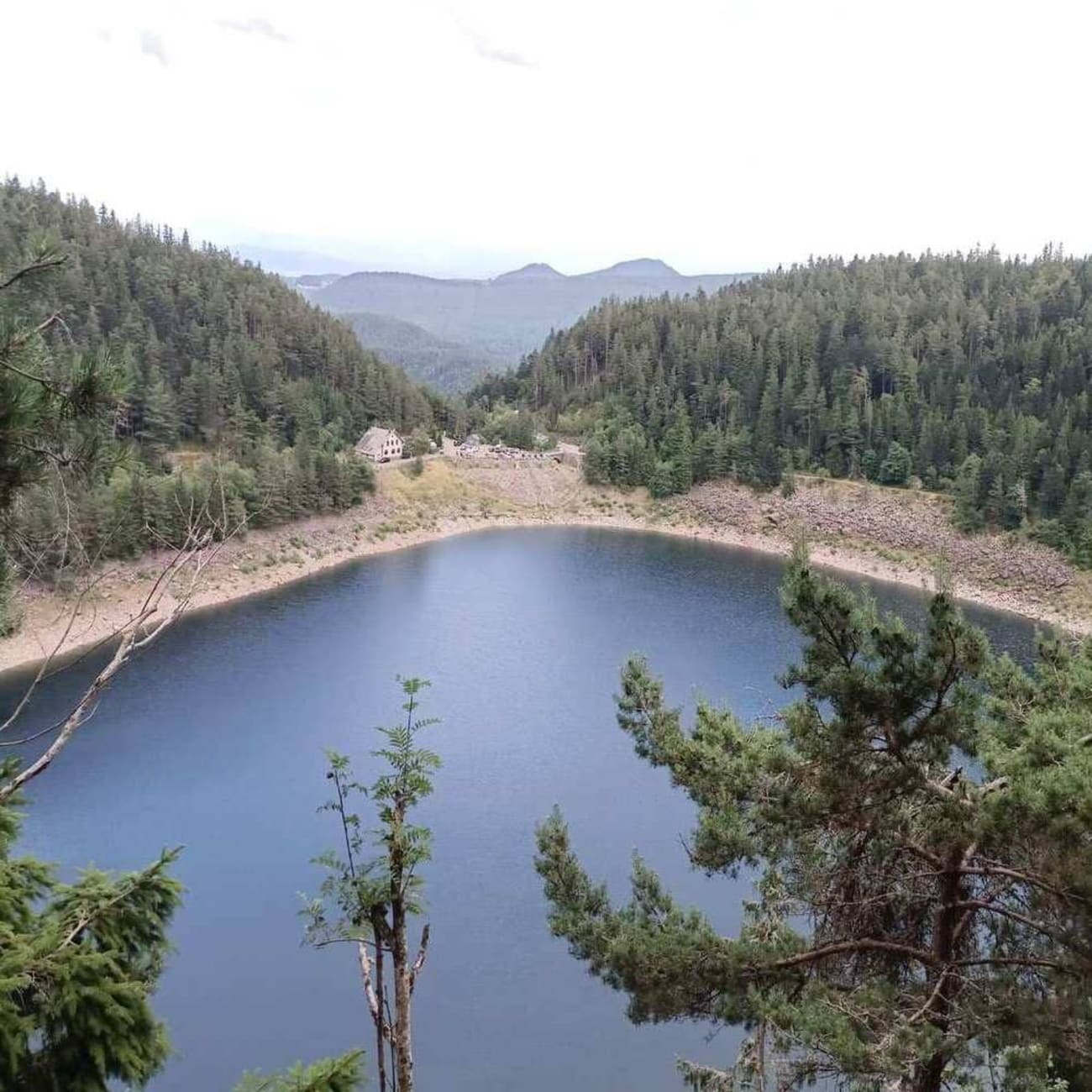 Randonnée lacs Alsace : étendue d'eau sombre entourée de sable et de sapins