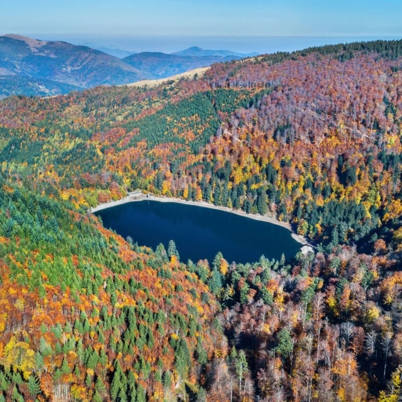 Randonnée lacs Alsace : vue aérienne d'une étendue d'eau sombre entourée de conifères verts et orangés