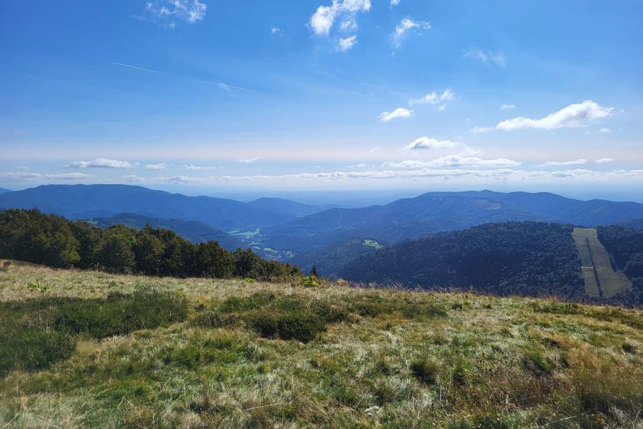 Vue panoramique sur les plaines d'Alsace depuis le sentier de randonnée du Ballon d'Alsace