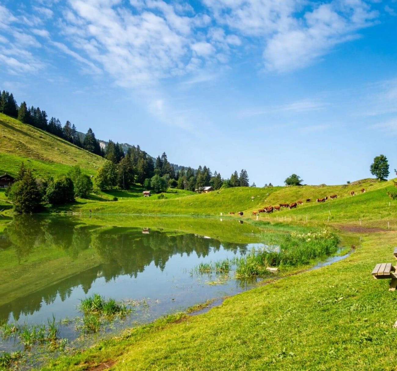Petite balade autour du lac des Confins à La Clusaz.