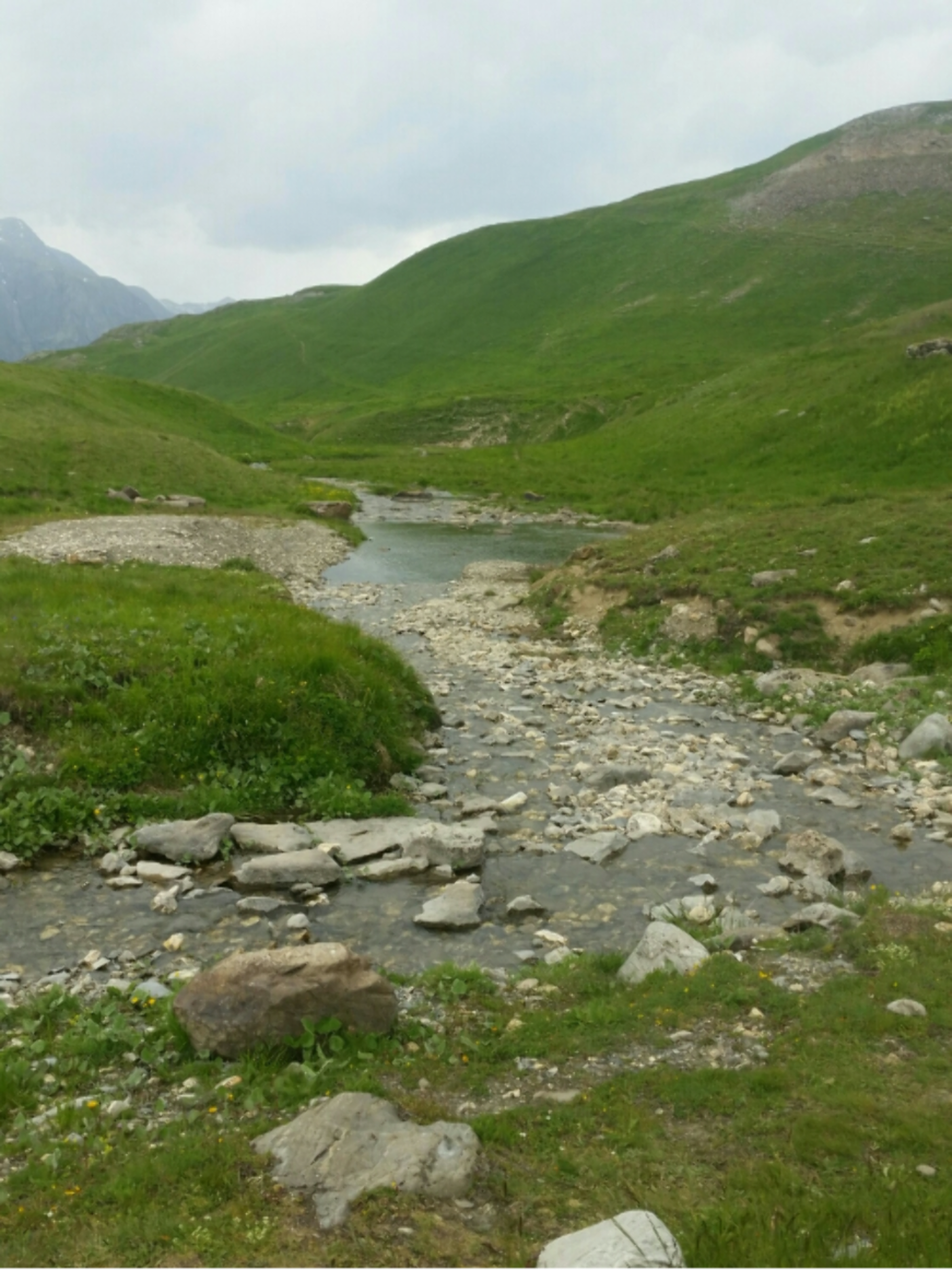 Randonnée Besse - Découvrir le plateau d’Emparis et son océan de verdure