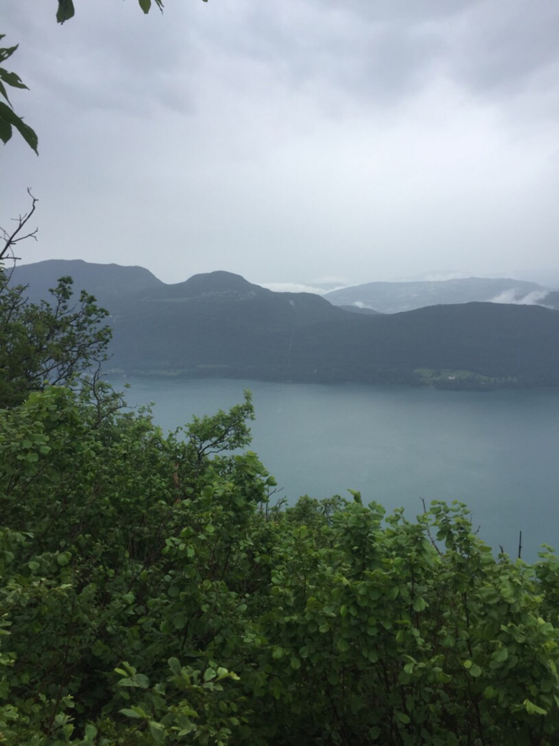 Randonnée Entrelacs - Forêt verdoyante et cueillette gratuite sur les balcons du Bourget