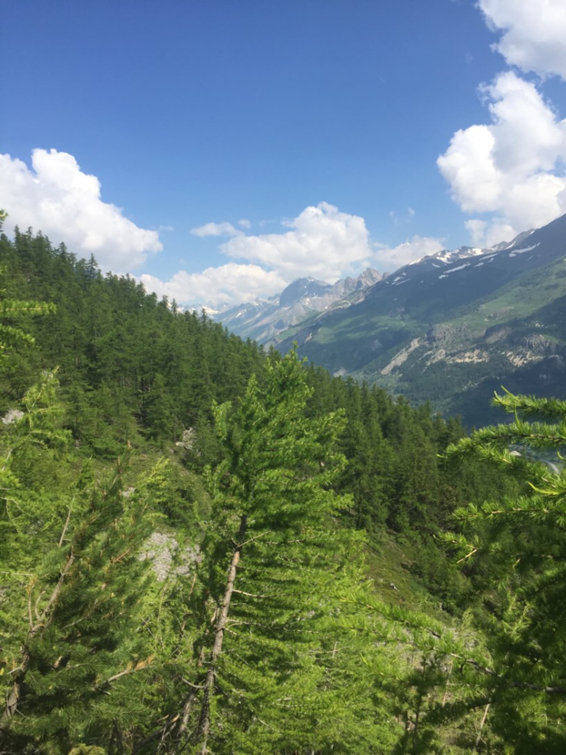 Randonnée La Salle-les-Alpes - S'évader à Serre-Chevalier et profiter à fond du paysage