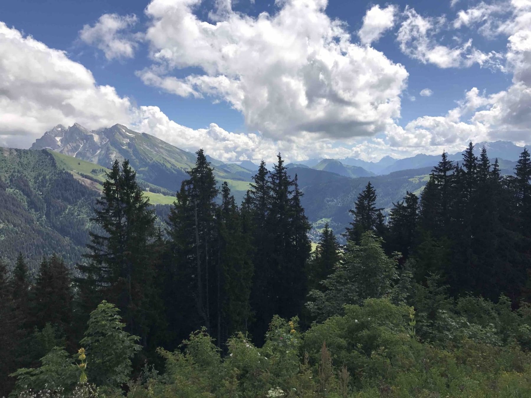 Randonnée La Clusaz - Tête du Danay et zénitude dans la forêt des Aravis