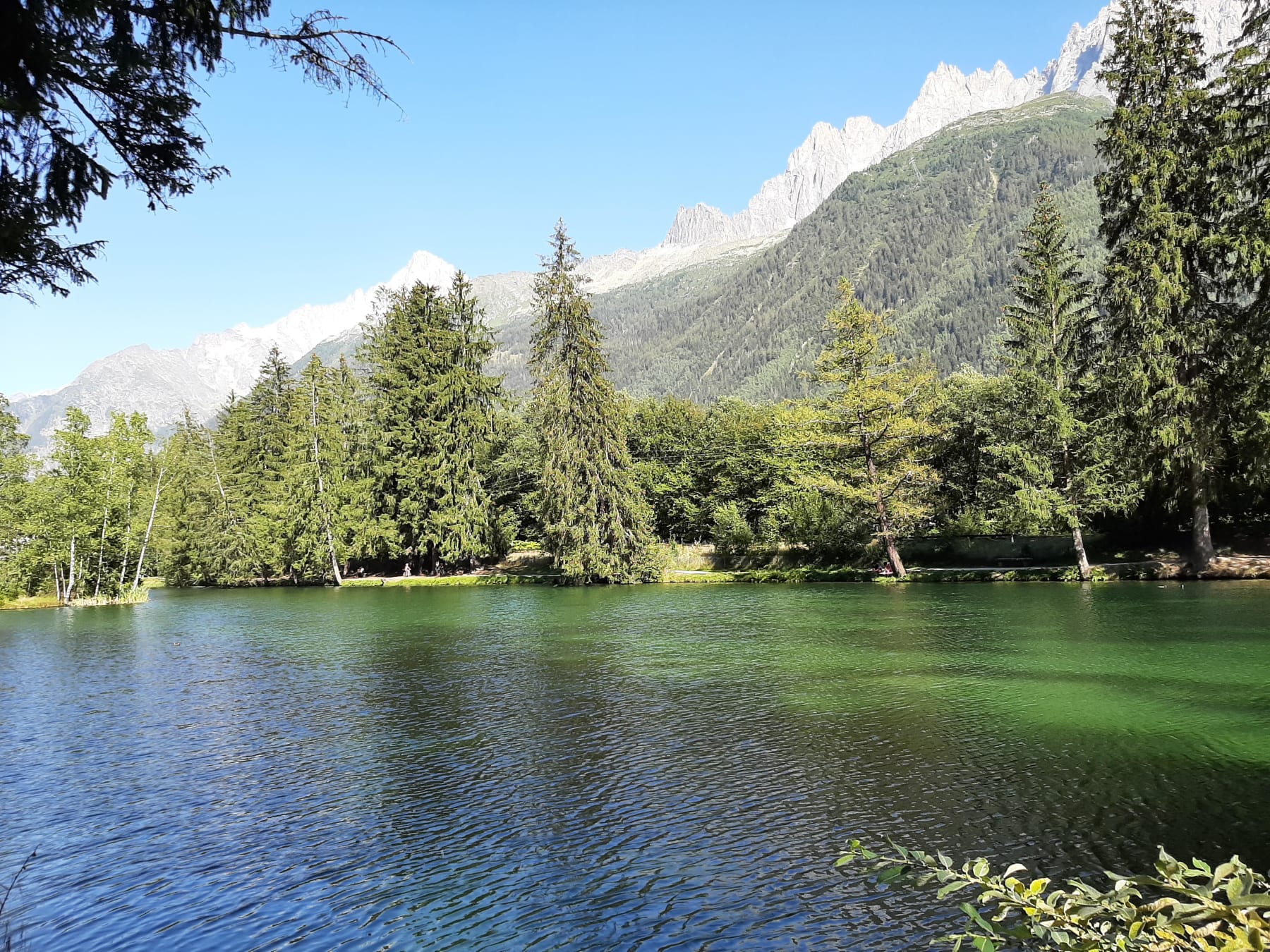 Randonnée Chamonix-Mont-Blanc - Balade urbaine à Chamonix et sublime lac des Gaillands