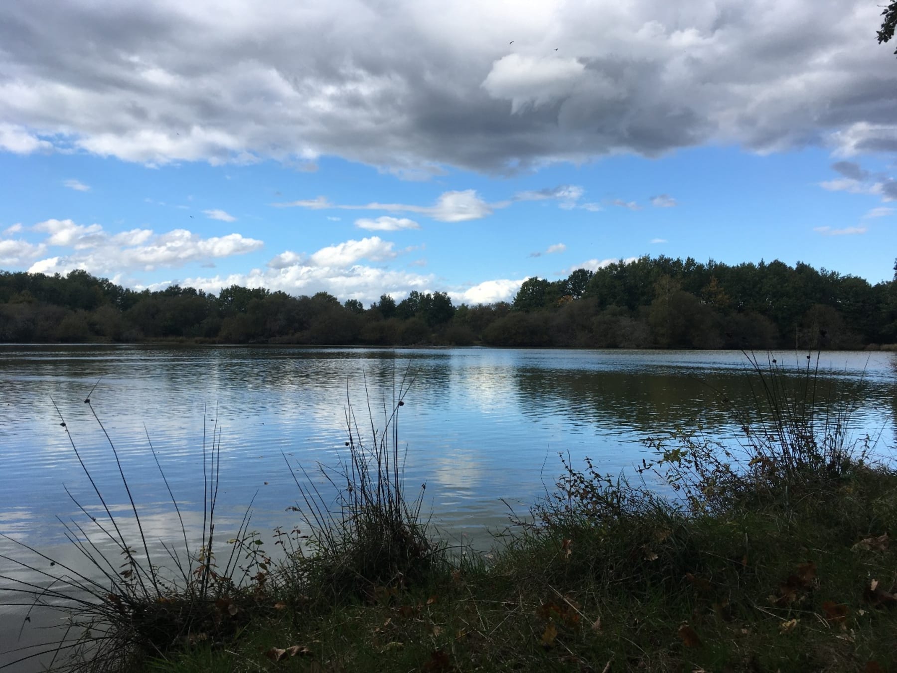 Randonnée Vannes-sur-Cosson - Vannes-sur-Cosson et constellation d'étangs à vélo