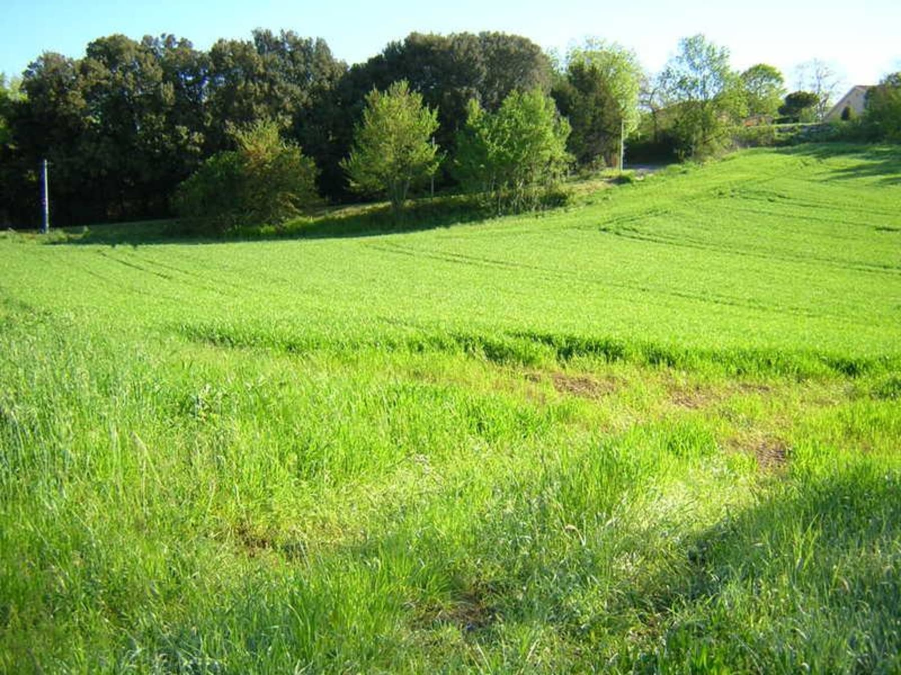 Randonnée Grenade - Grenade-sur-Garonne et vadrouille apaisante dans la nature