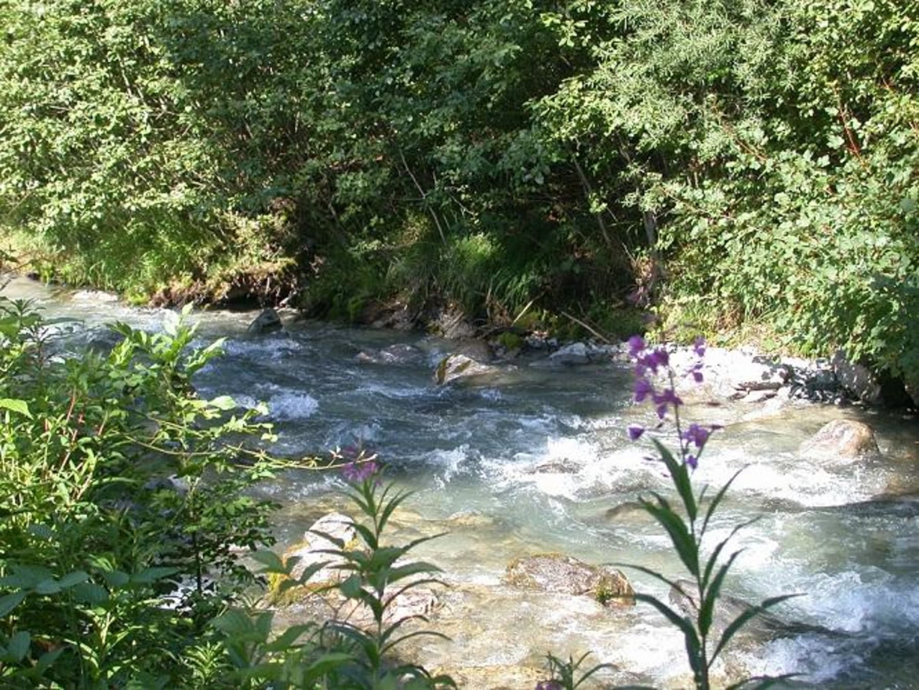 Randonnée Passy - Sentier des bords de l'Arve et détente près de l'eau