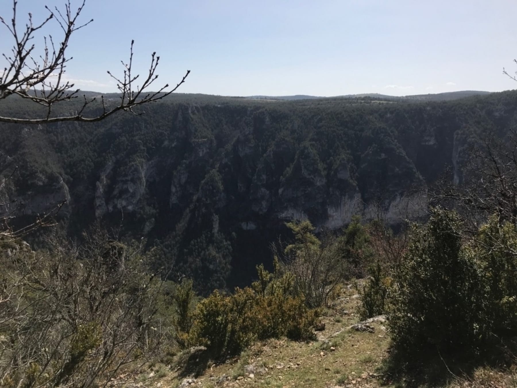 Randonnée La Malène - Randonnée à Cauquenas et sa flore luxuriante