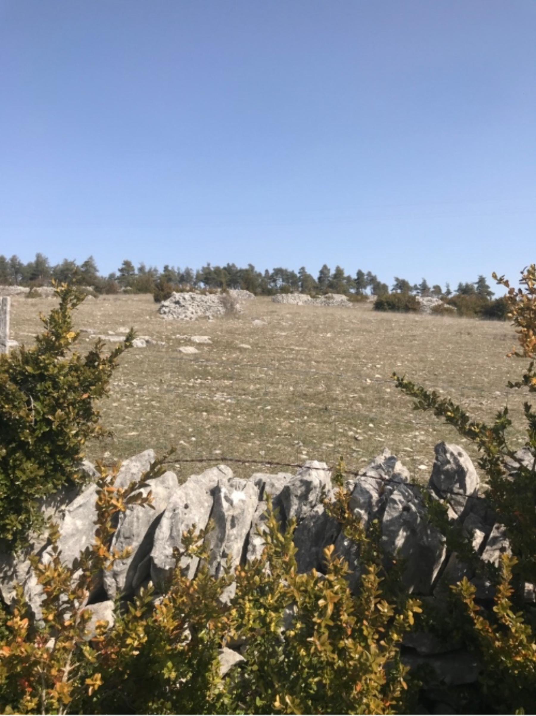 Randonnée La Malène - Randonnée à Cauquenas et sa flore luxuriante