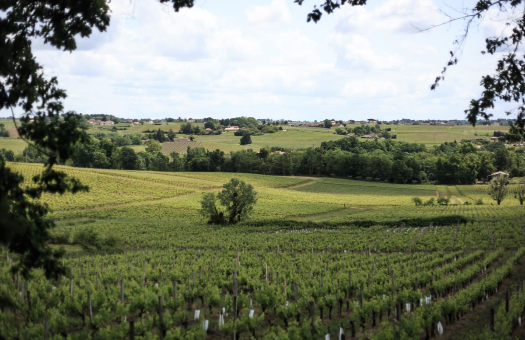 Randonnée Plassac - Randonnée à Plassac et exploration de l'histoire de la commune