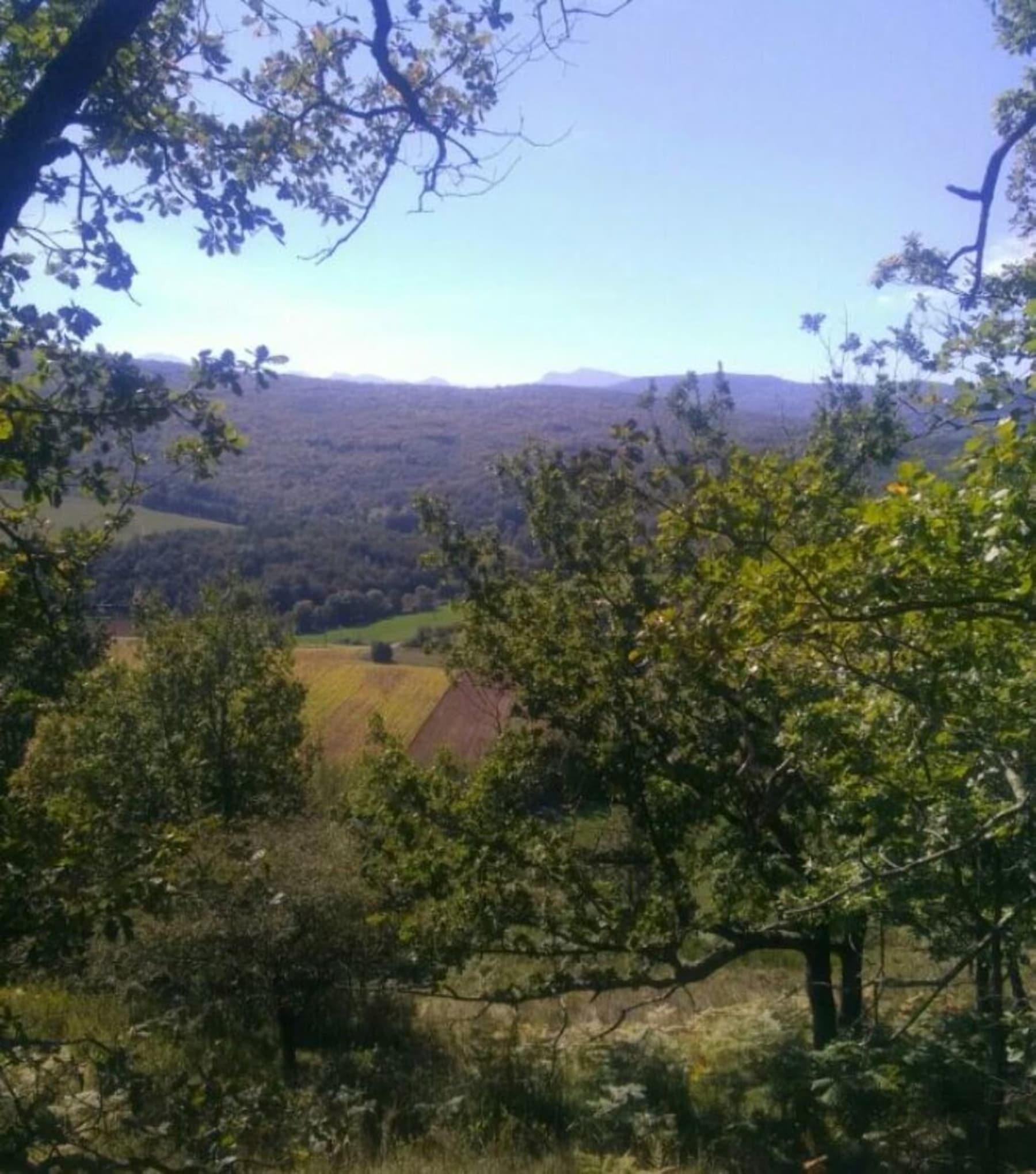 Randonnée Carla-de-Roquefort - Crêtes du Sautel et flânerie au cœur de l'Ariège