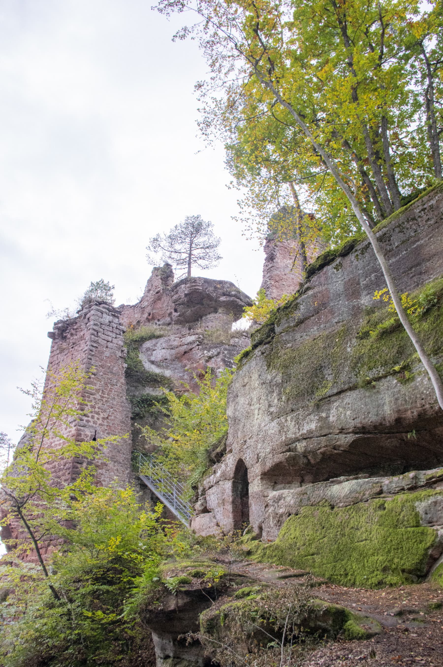 Randonnée Baerenthal - Untermuhlthal et micro-aventure fascinante dans la forêt