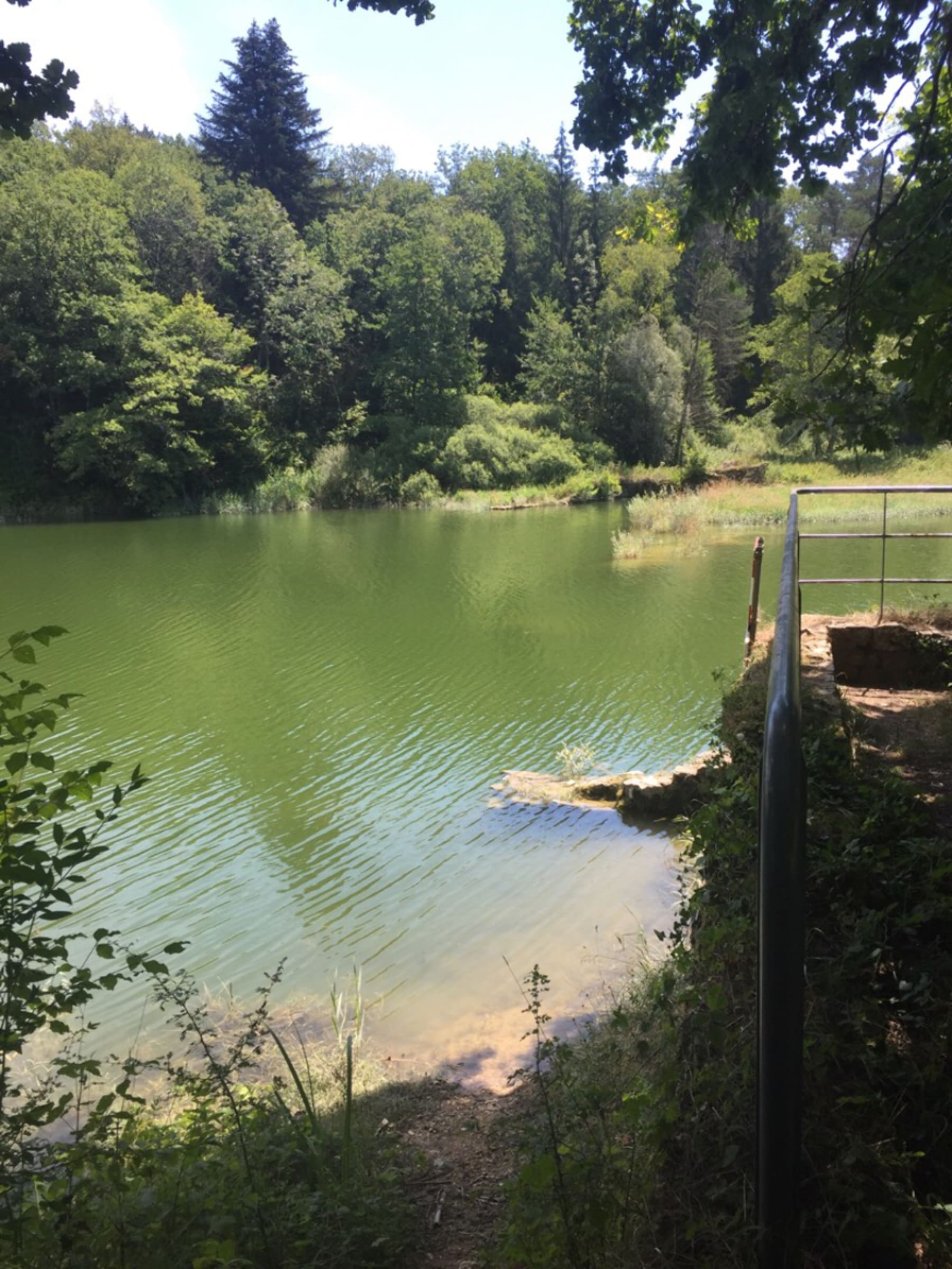 Randonnée Matafelon-Granges - Matafelon-Granges et taquiner le goujon au bord de l'Oignin