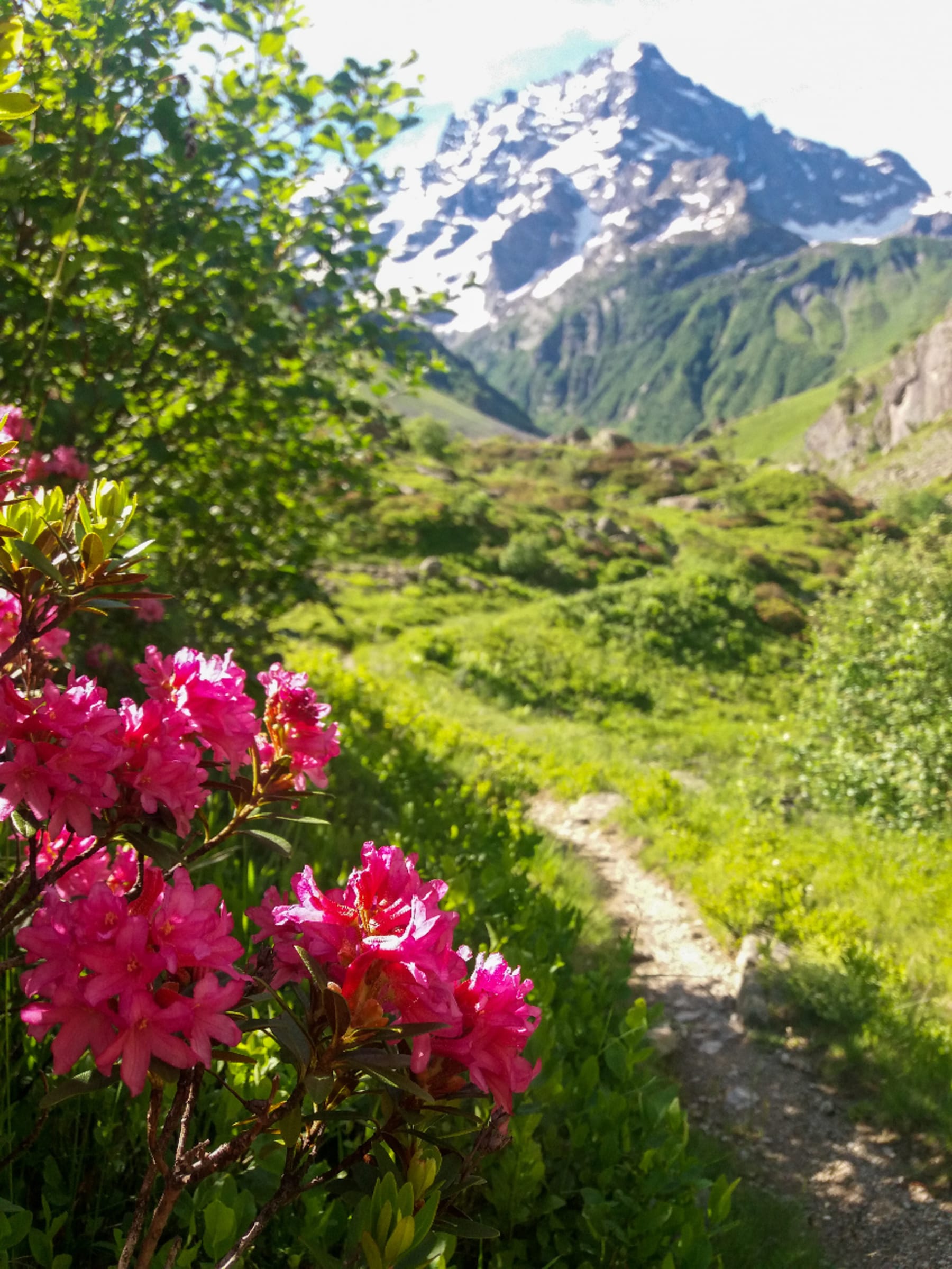 Randonnée La Chapelle-en-Valgaudémar - Retraite au refuge de Vallonpierre et balade au fil de l'eau