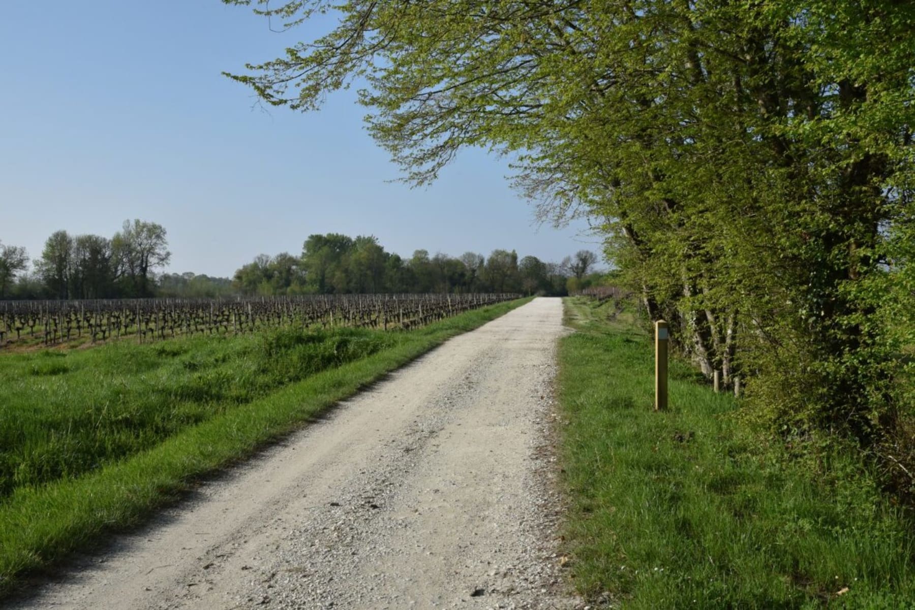 Randonnée Queyrac - Escapade dans le village de Queyrac et richesse de la nature