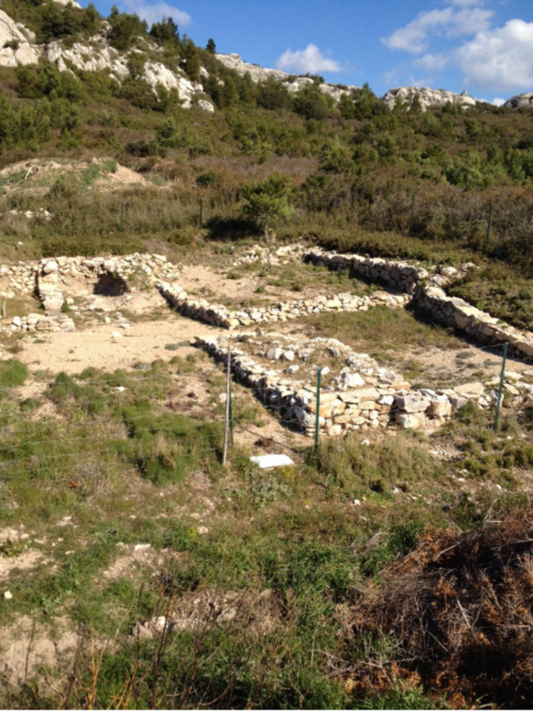 Randonnée Mouriès - Massif des Alpilles et ses oliviers ancestraux