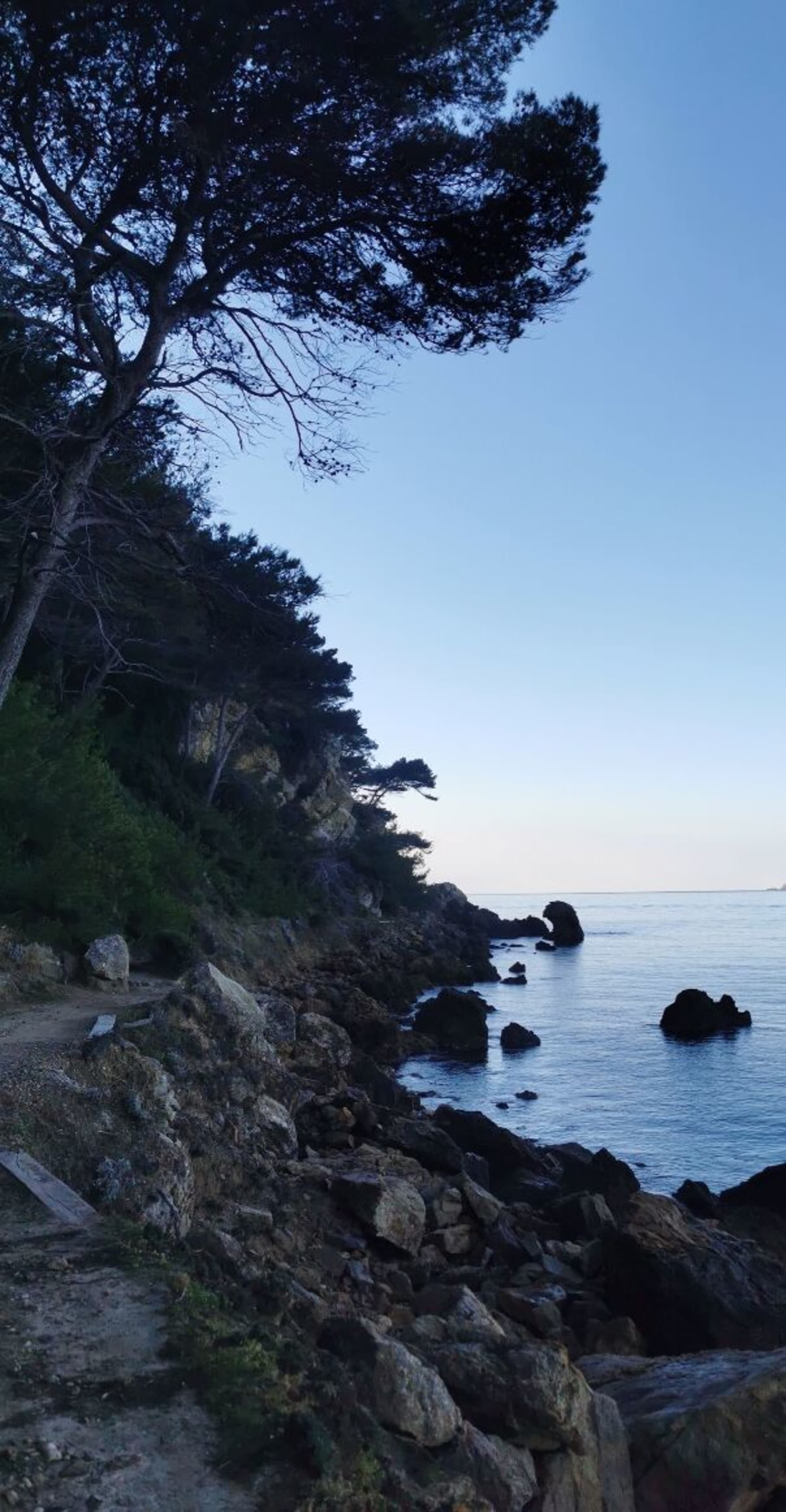 Randonnée Saint-Cyr-sur-Mer - Saint-Cyr-sur-Mer et son sentier du littoral sauvage