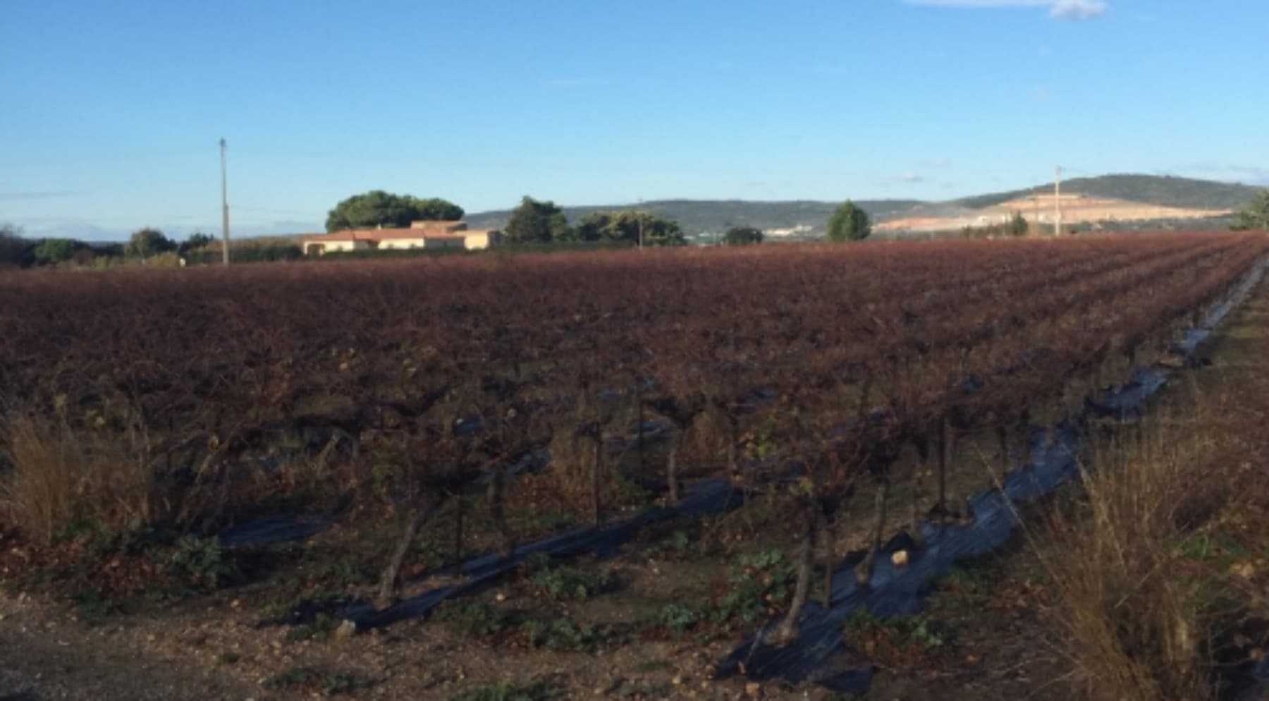 Randonnée Villeneuve-lès-Maguelone - Balade au milieu des salins et petit cours d'histoire