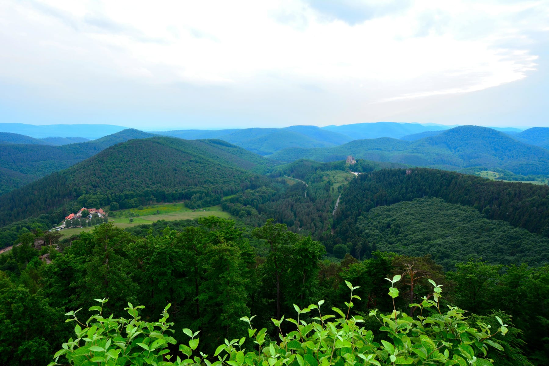 Randonnée Meisenthal - Meisenthal et riche excursion en forêt