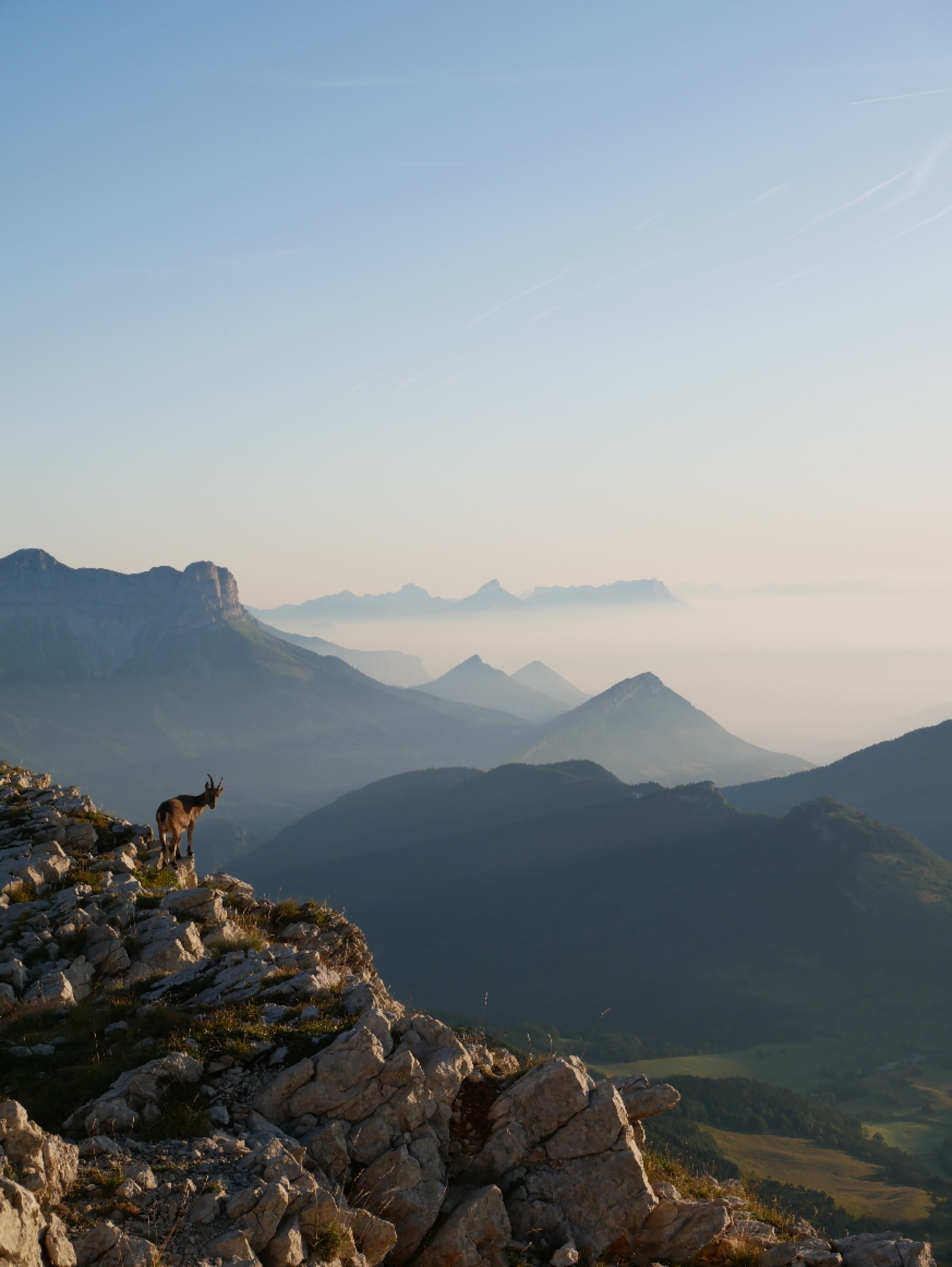 Randonnée Gresse-en-Vercors - Escapade vivifiante au Grand Veymont et recherche d'animaux