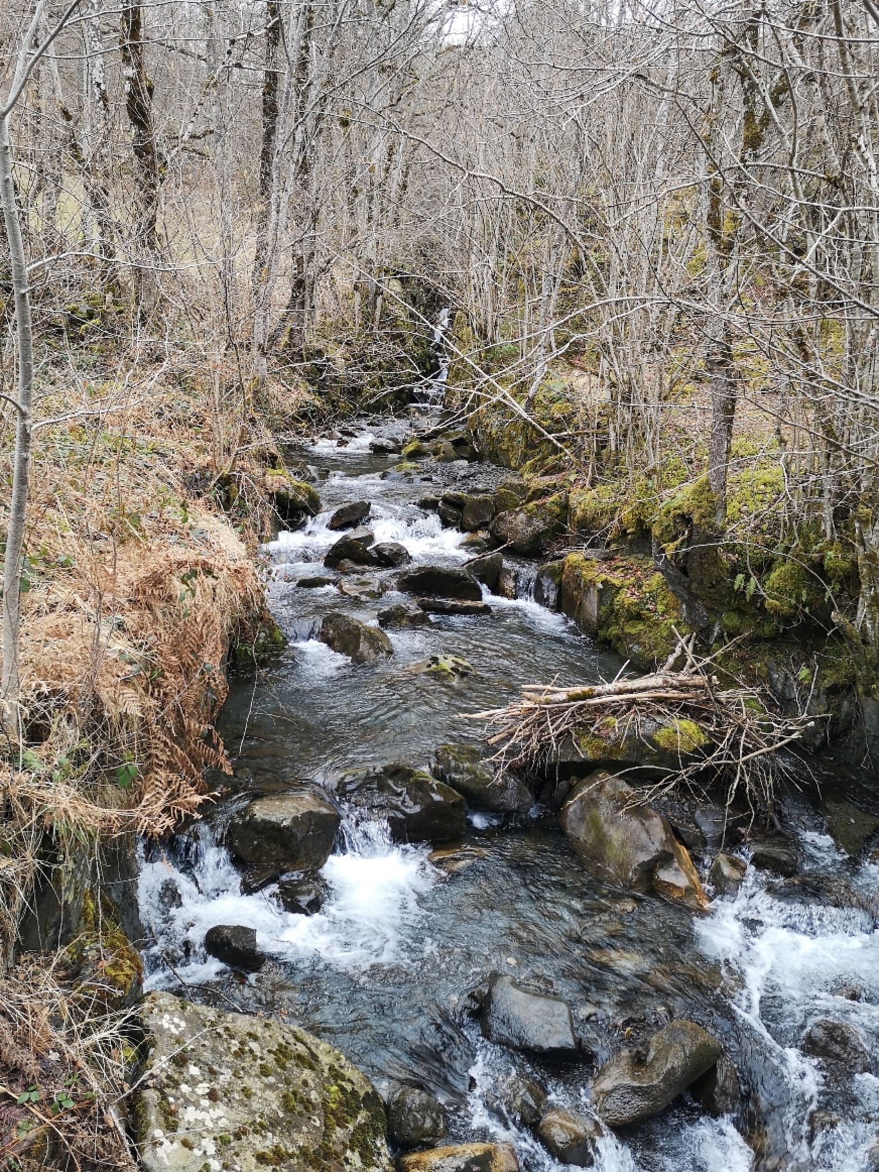 Randonnée Loudenvielle - Loudenvielle en Pyrénées et ses granges d’Ourcibats