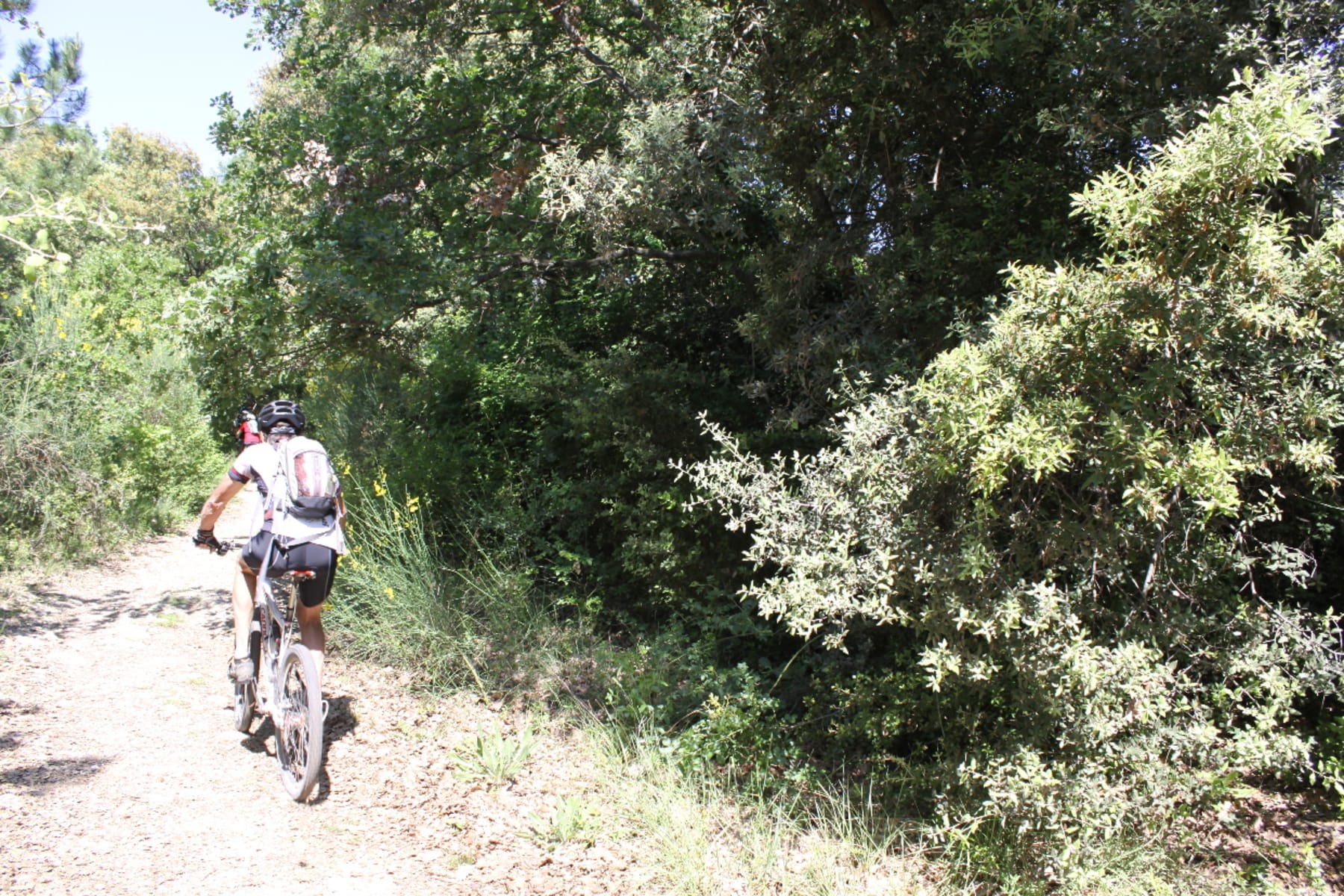 Randonnée Visan - Enclave des Papes en VTT et richesses du terroir