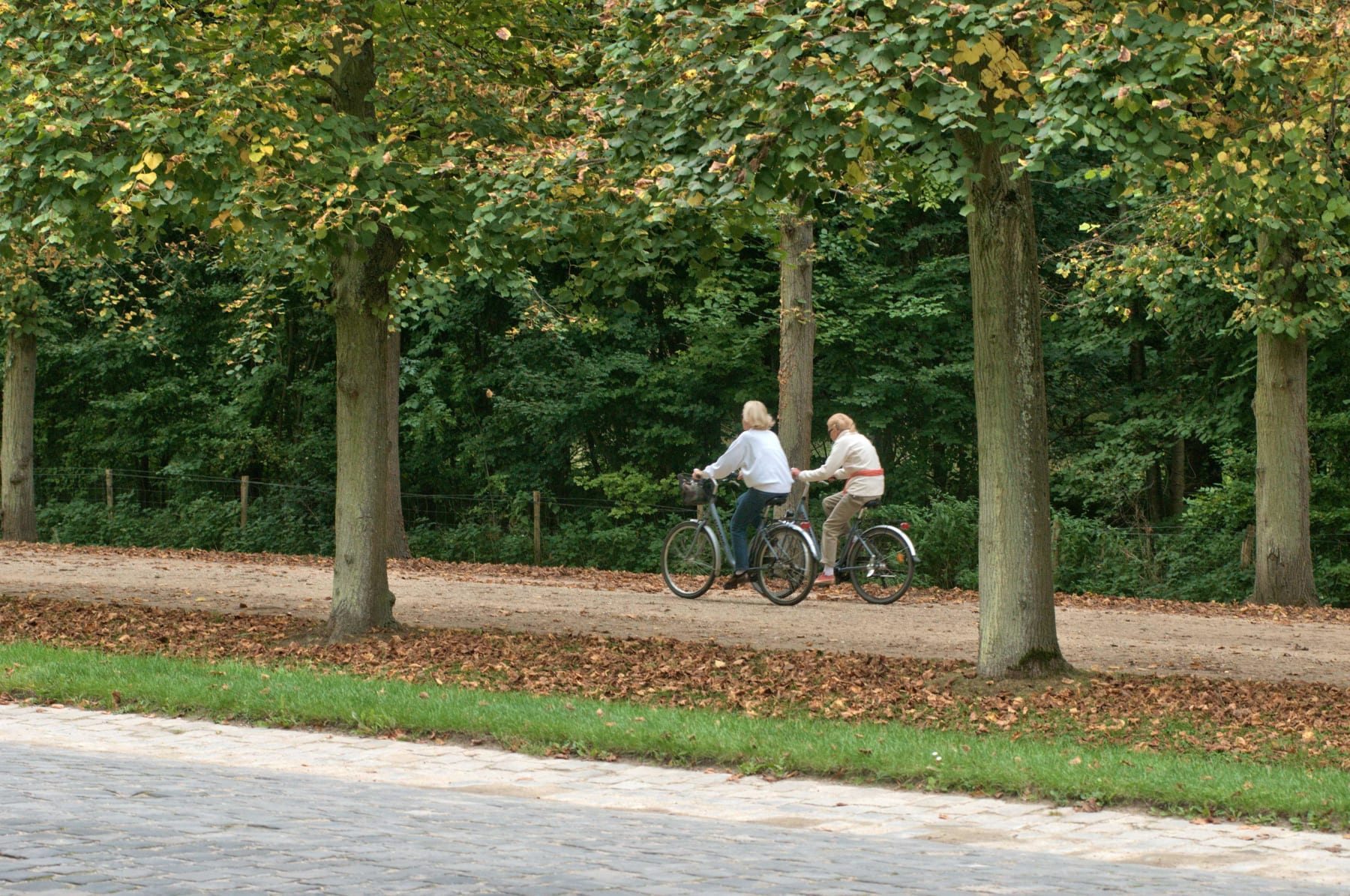 Randonnée Chambourcy - Saint-Germain-en-Laye et découvrir les beautés de Versailles