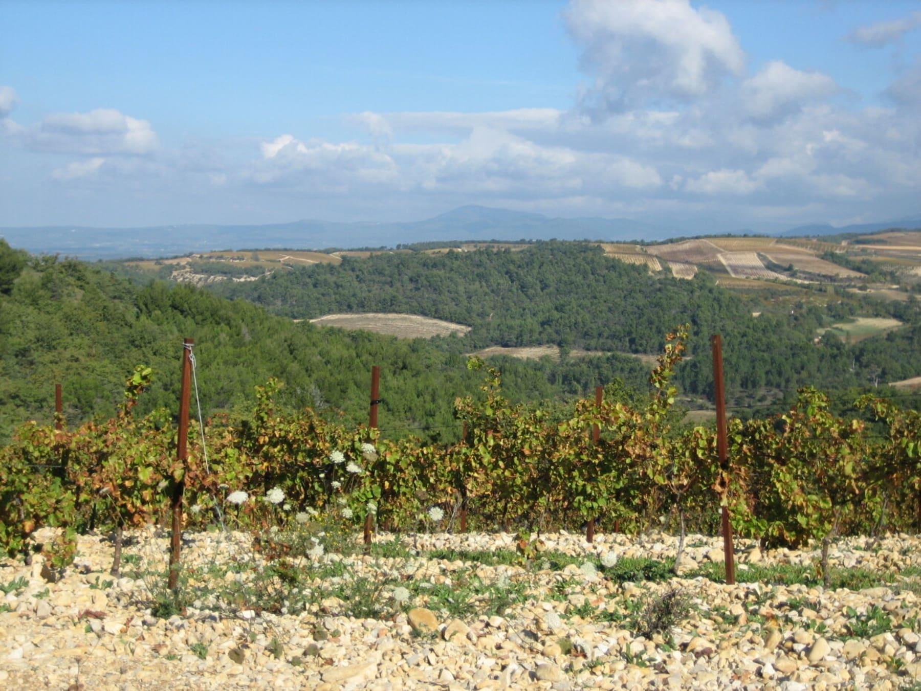 Randonnée Valréas - Tour de l'Enclave à vélo, velours de vigne et de lavande