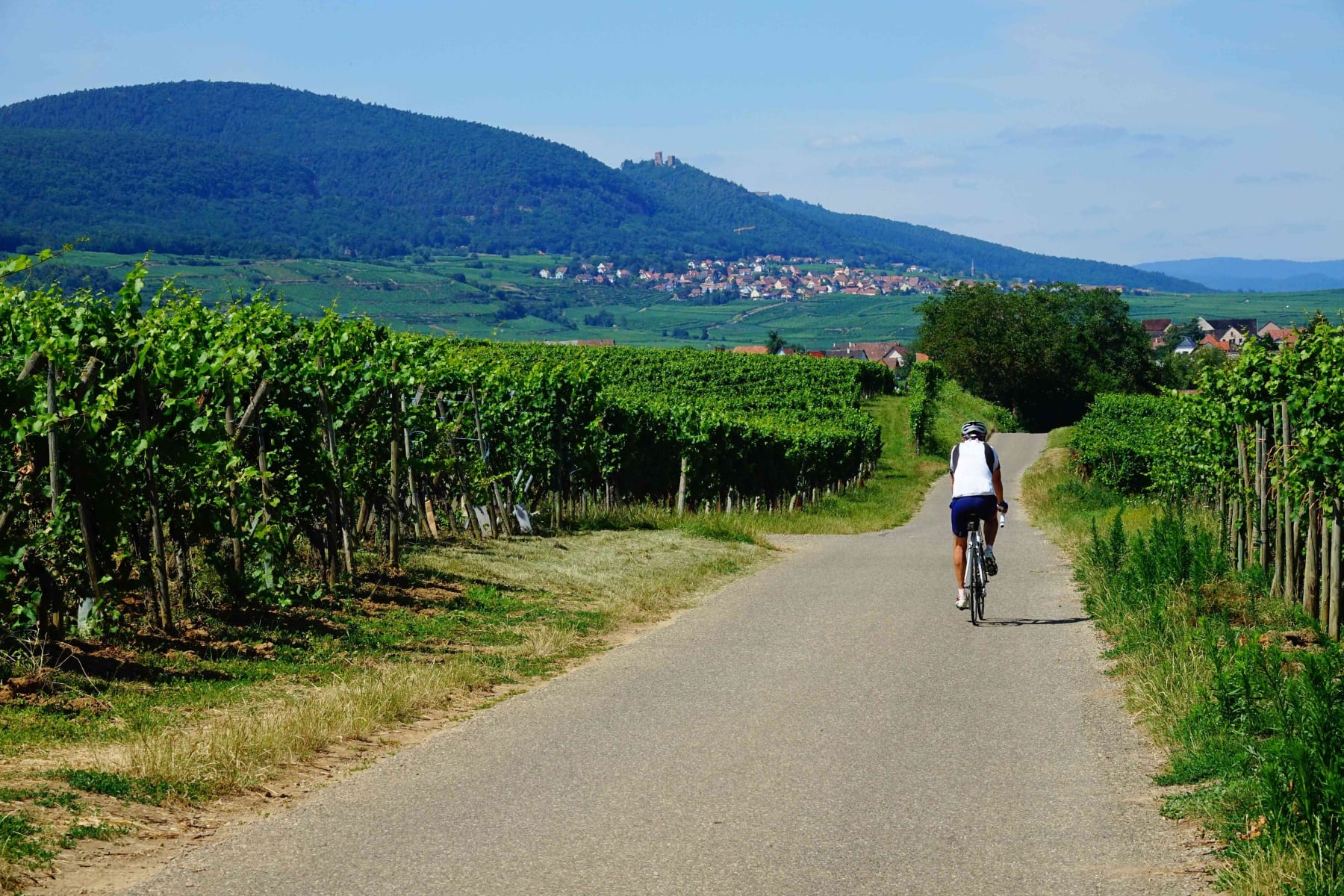 Randonnée Mornas - Mornas et explorer les beaux paysages du Vaucluse