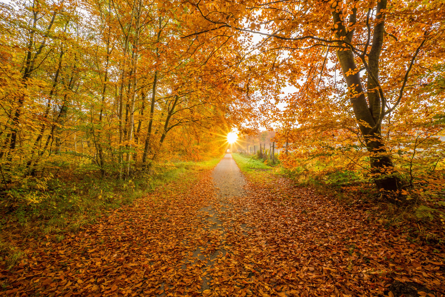 Randonnée Rochy-Condé - Trésors près de Warluis et lumières chaudes de la forêt