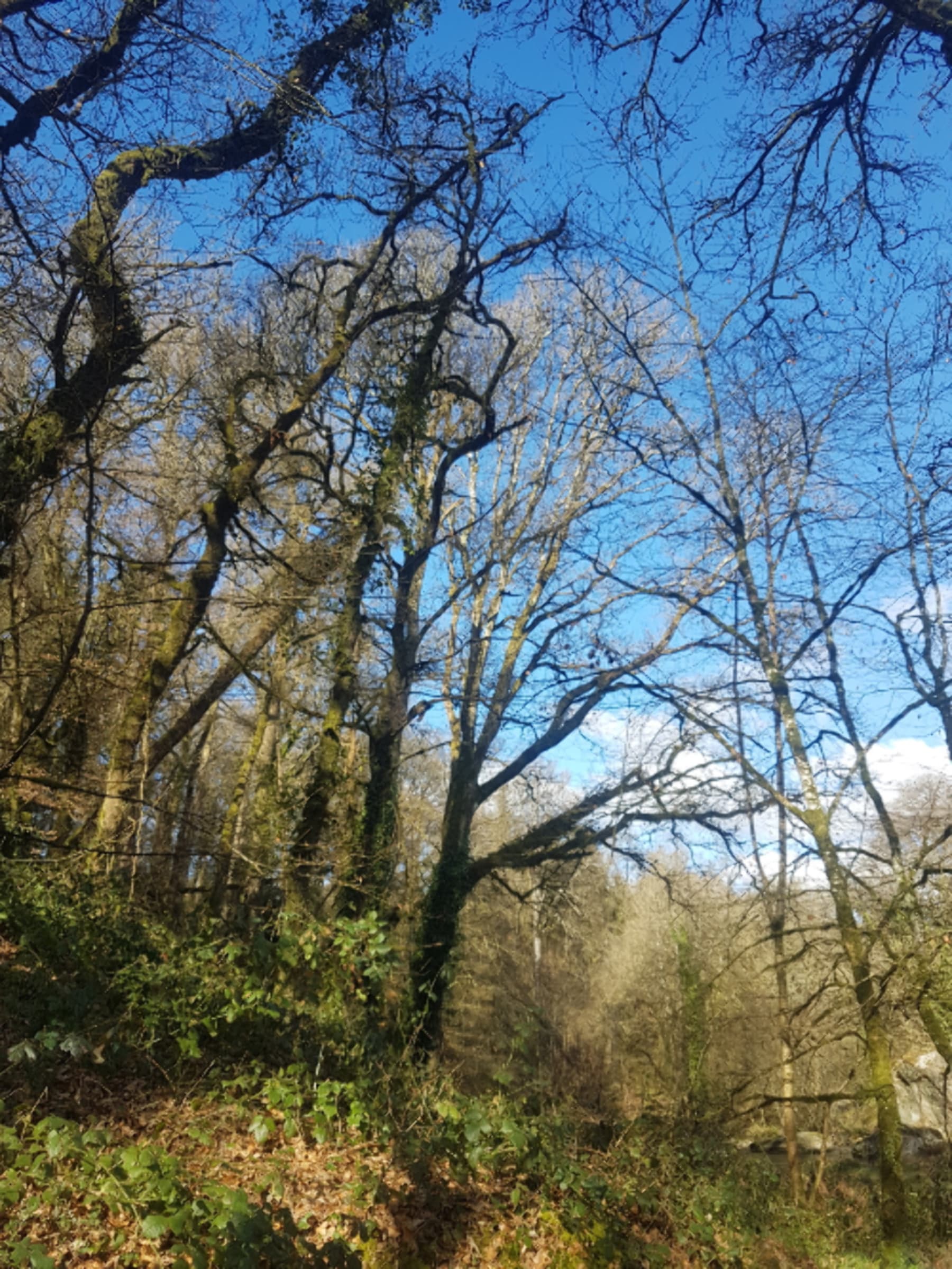 Randonnée Plaine-Haute - Virée à Plaine-Haute et majestueux chaos du Gouët à cœur