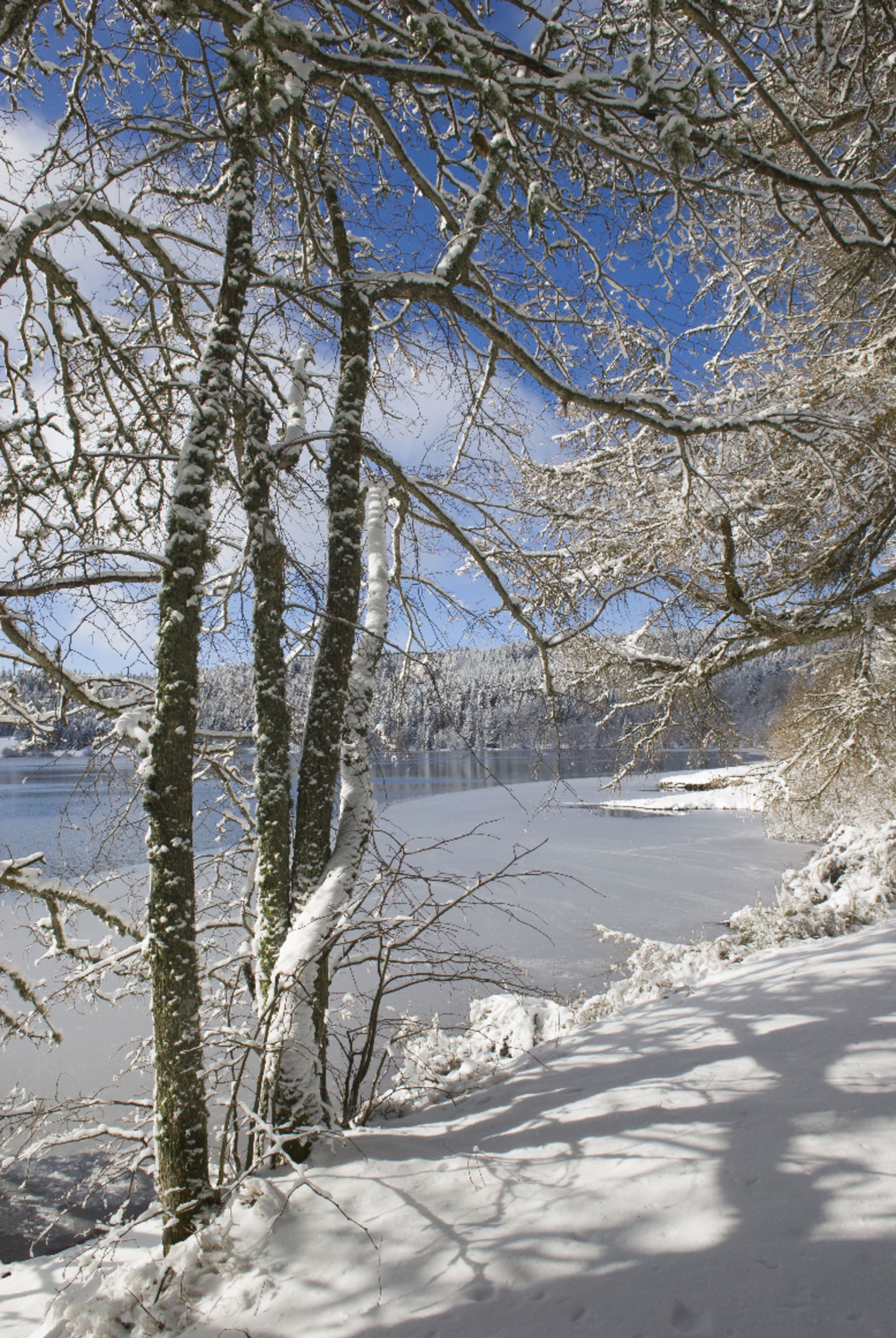 Randonnée Cayres - Cayres et excursion savoureuse au lac étincelant du Bouchet