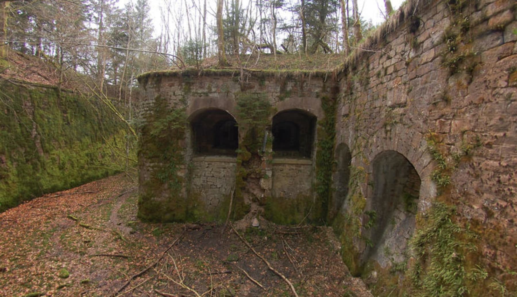 Randonnée La Rosière - La Rosière des Vosges, entre fort et forêt