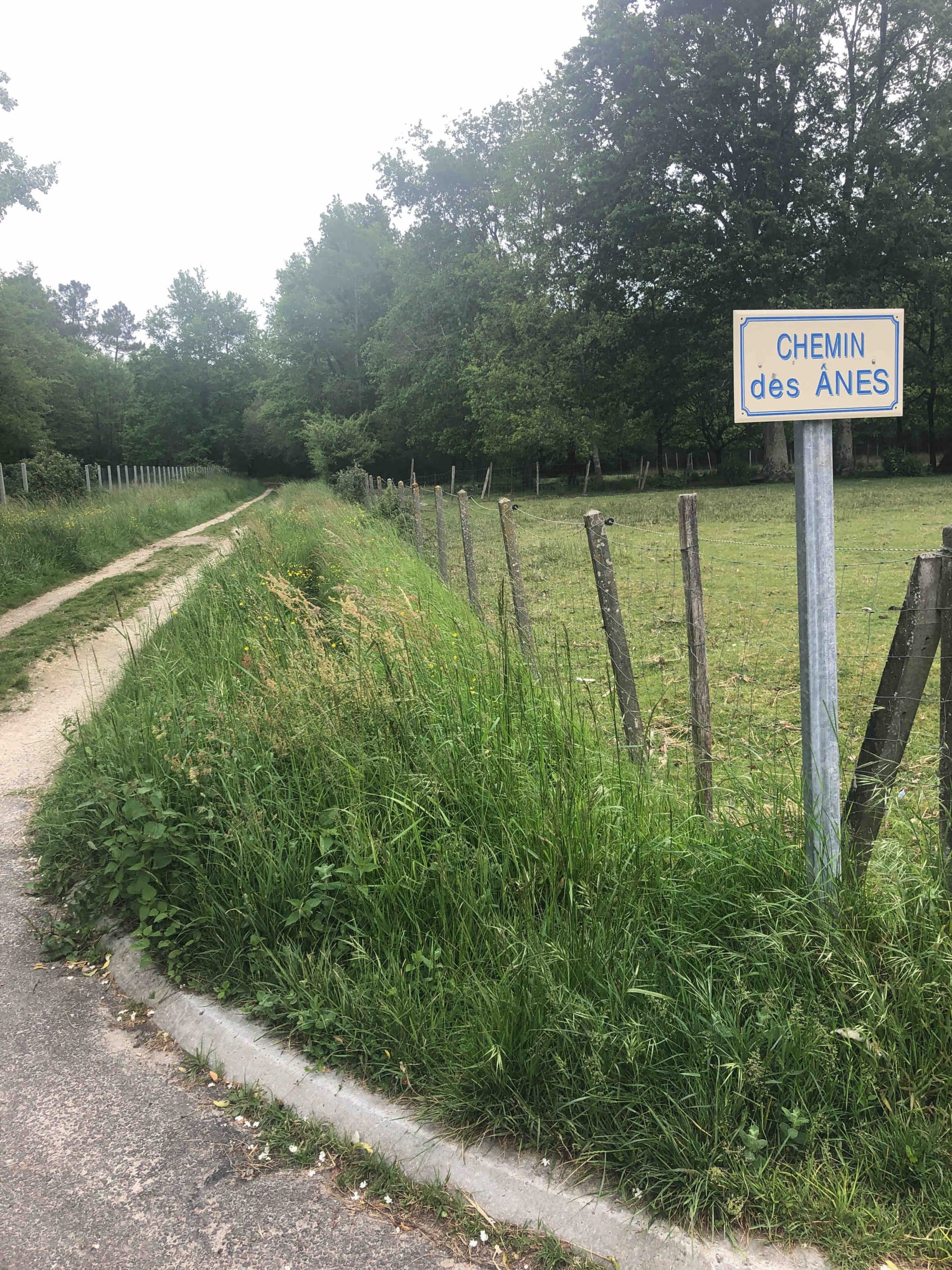 Randonnée Saint-Yzan-de-Soudiac - Boucle des Barrauds, une virée plutôt Gironde