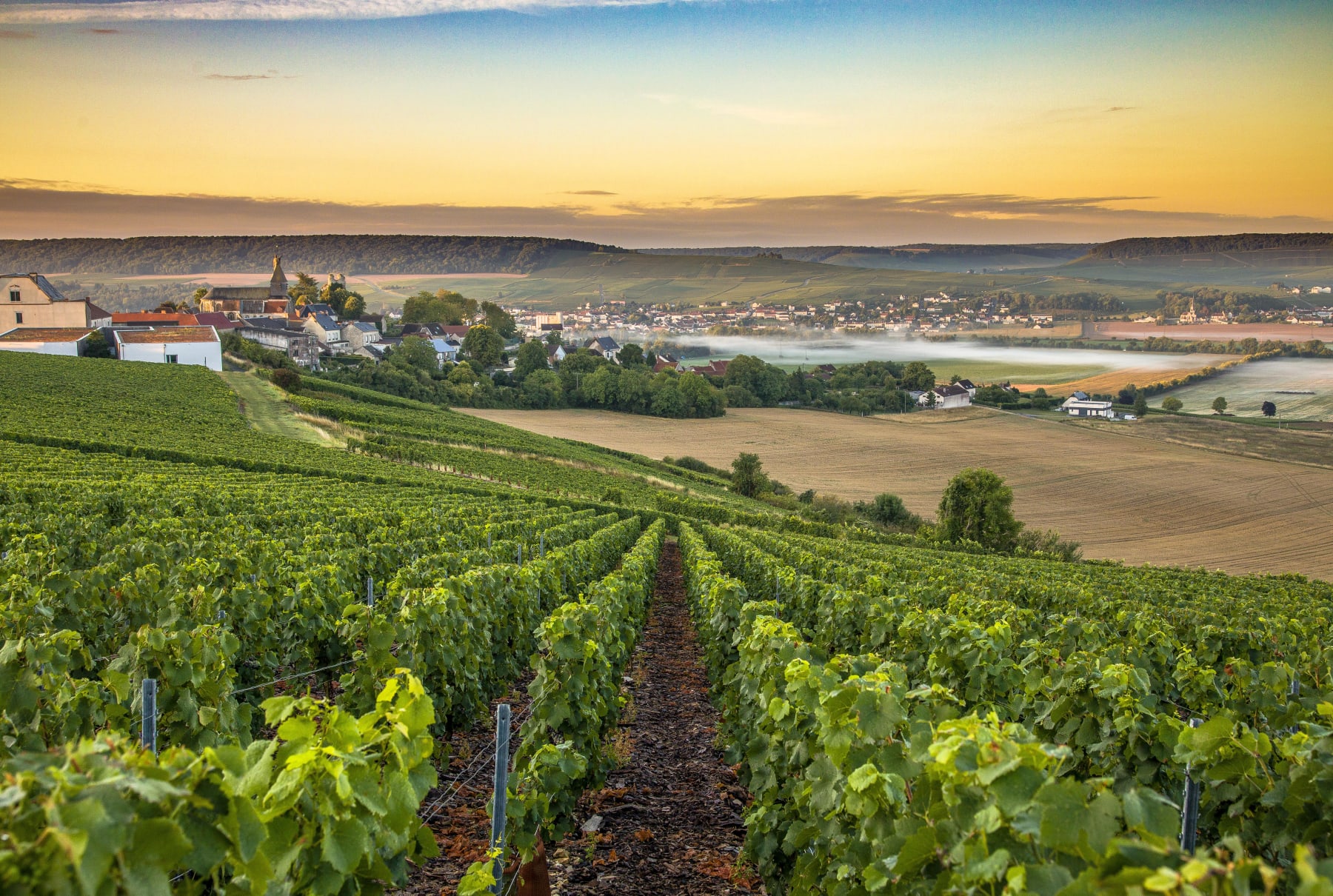 Randonnée Chouilly - Chouilly : tombeau en montagne et château en Champagne