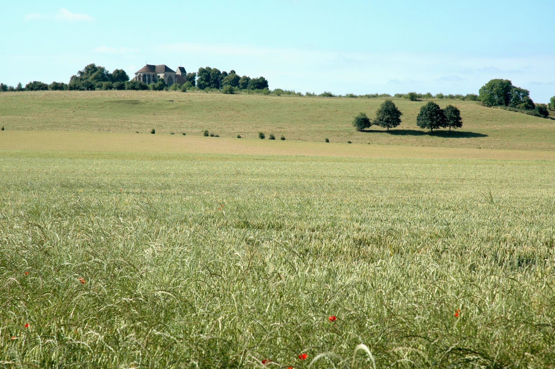 Randonnée Savins - Rejoignons la colline à pas de Lourps