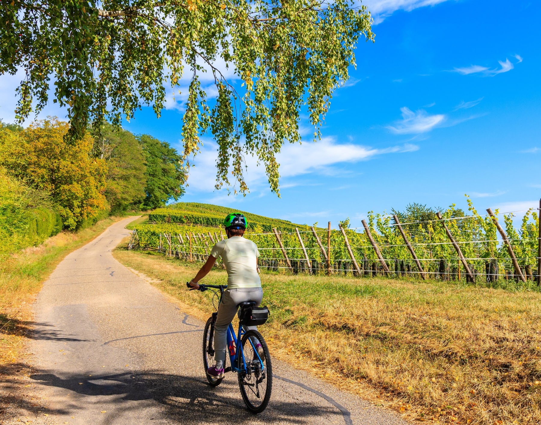 Randonnée Lisle-sur-Tarn - Hauts de la Maladène à VTT et beauté typique du Gaillacois