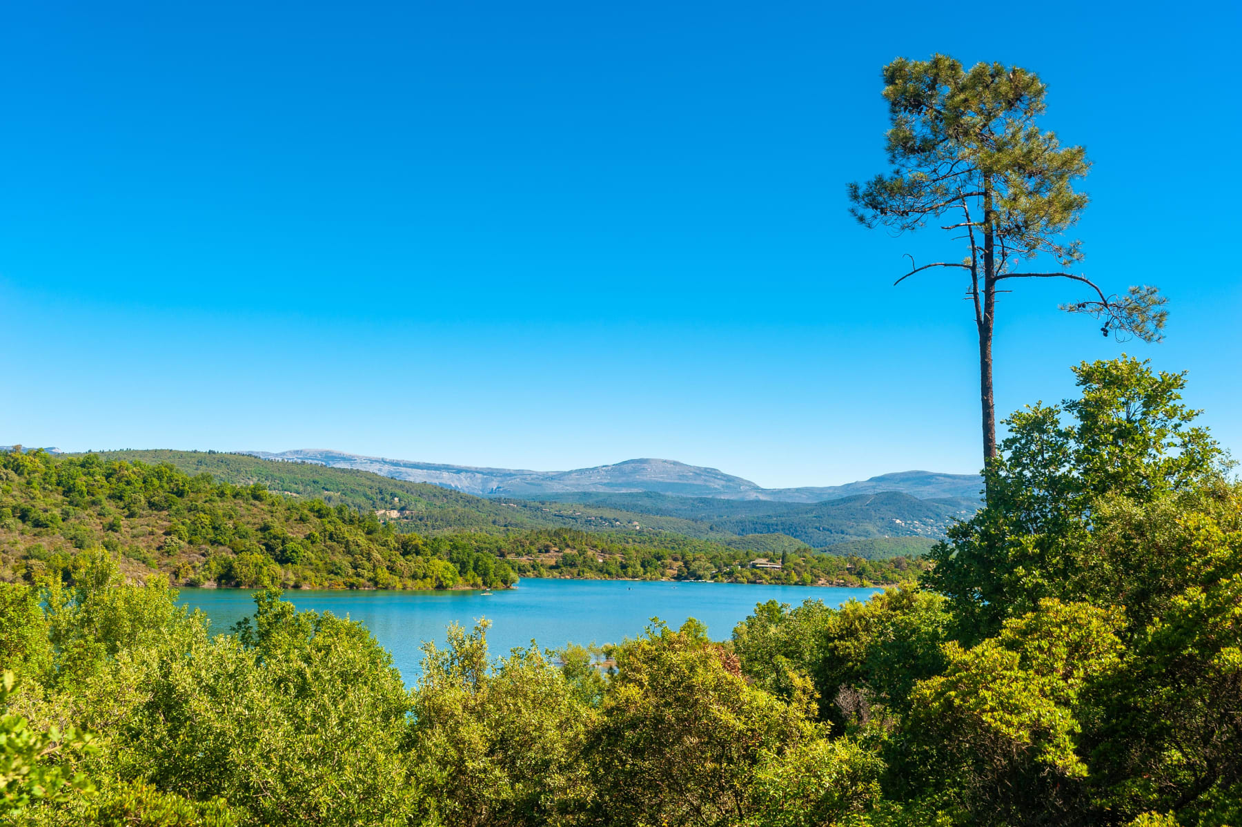 Randonnée Montauroux - Tour du lac de Saint-Cassien et nature inspirante