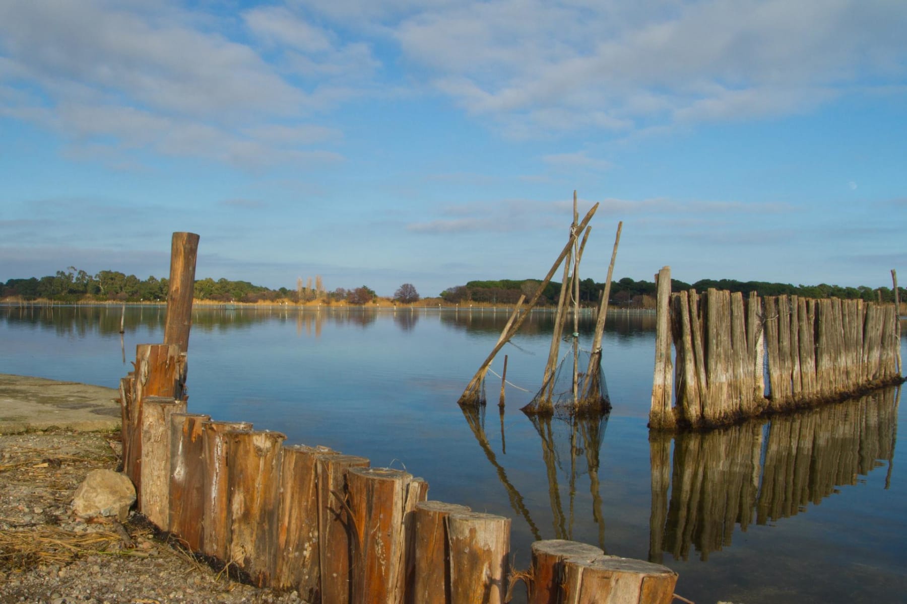 Randonnée Ghisonaccia - Etang d'Urbino et apprécier la paix dans les marais