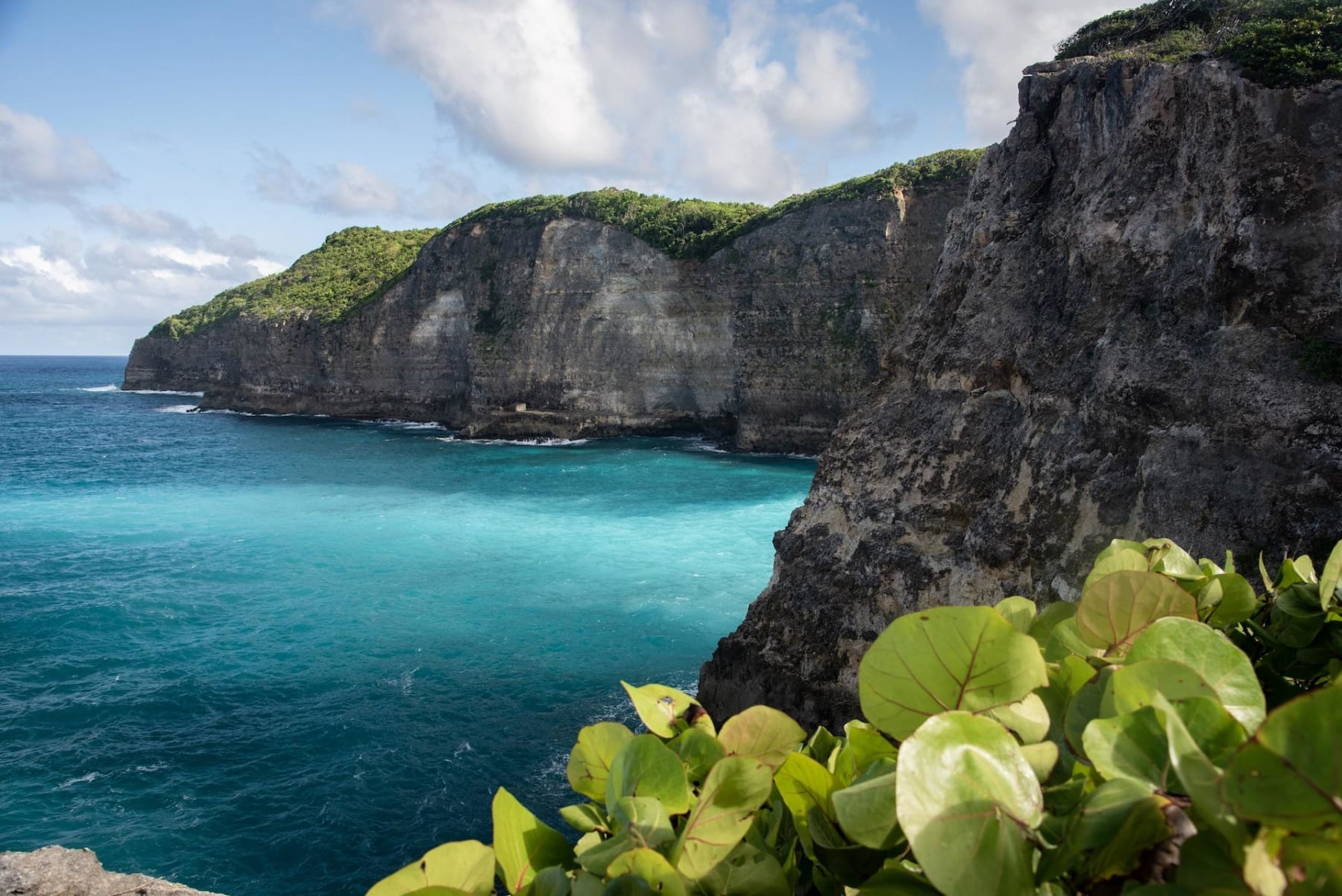 Randonnée Saint-Louis - Agréable balade du littoral nord de l'île de Marie-Galante