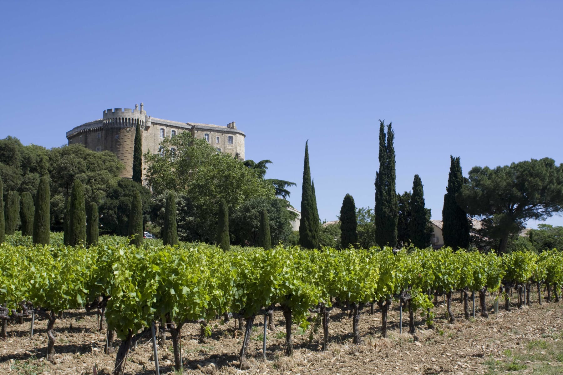 Randonnée Suze-la-Rousse - Suze-la-Rousse et vignes de la Drôme provençale à VTT