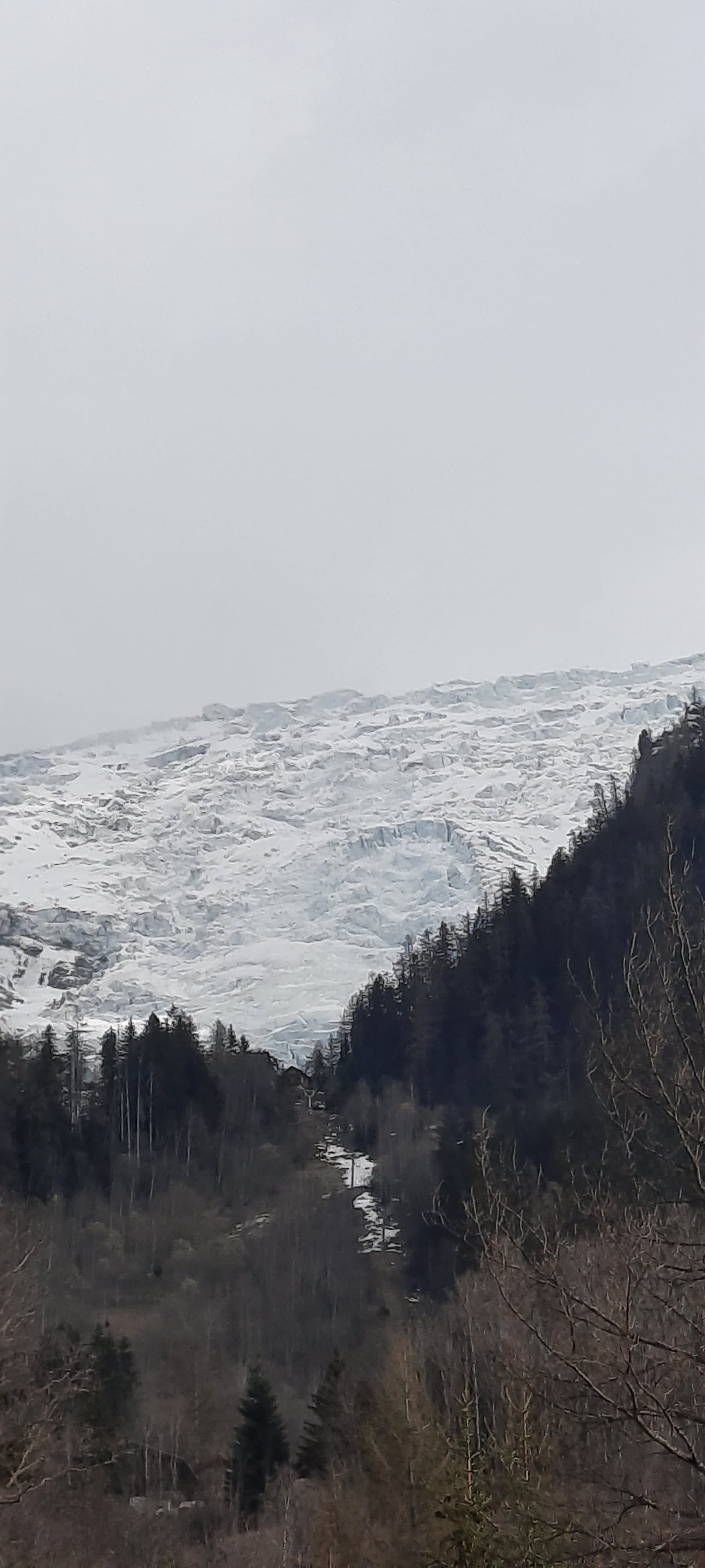 Randonnée Chamonix-Mont-Blanc - Bain de forêt et se rapprocher du glacier des Bossons