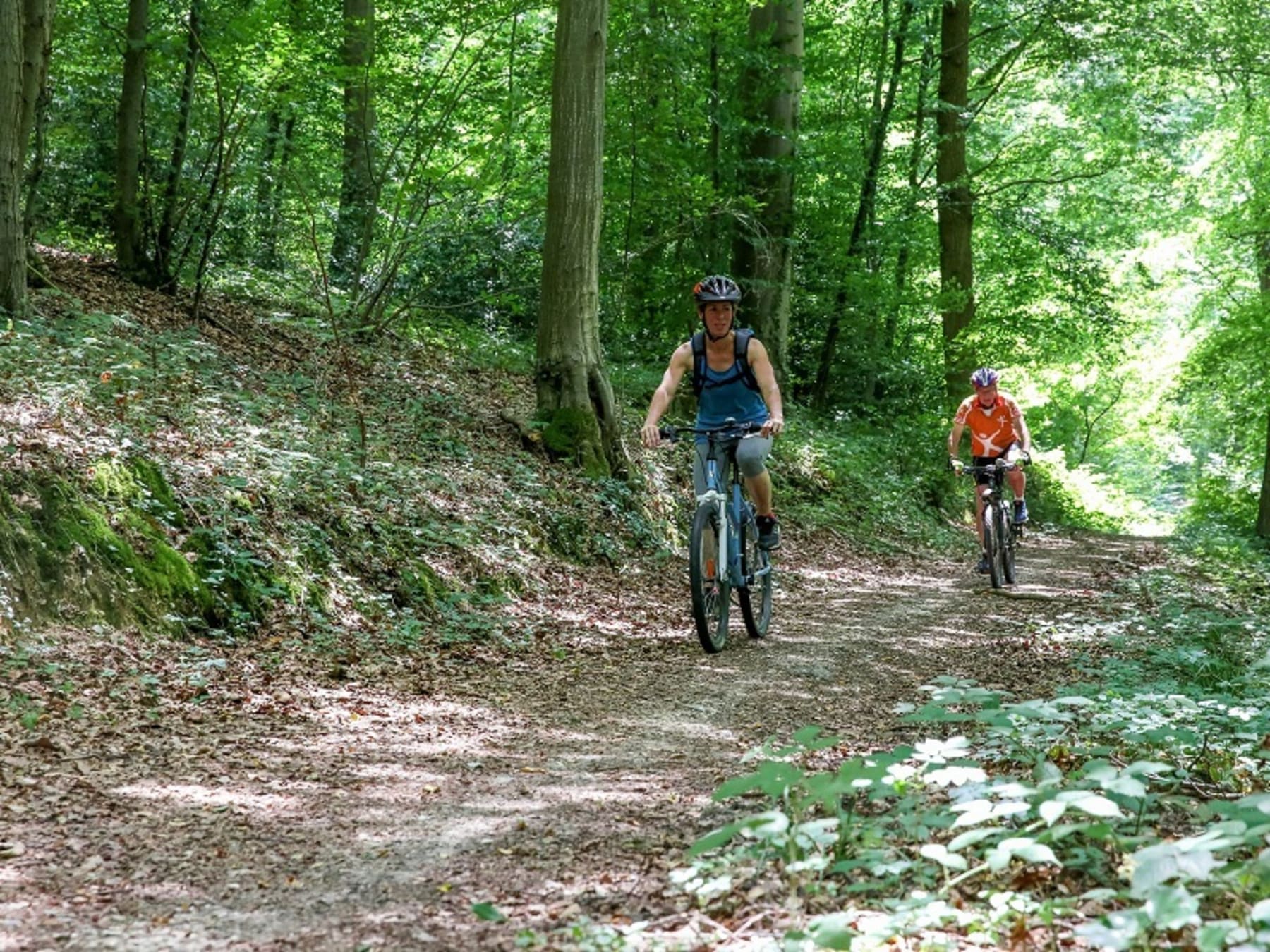 Randonnée Caudebec-en-Caux - Aventure de derrière les fagots à VTT en vallée de Seine