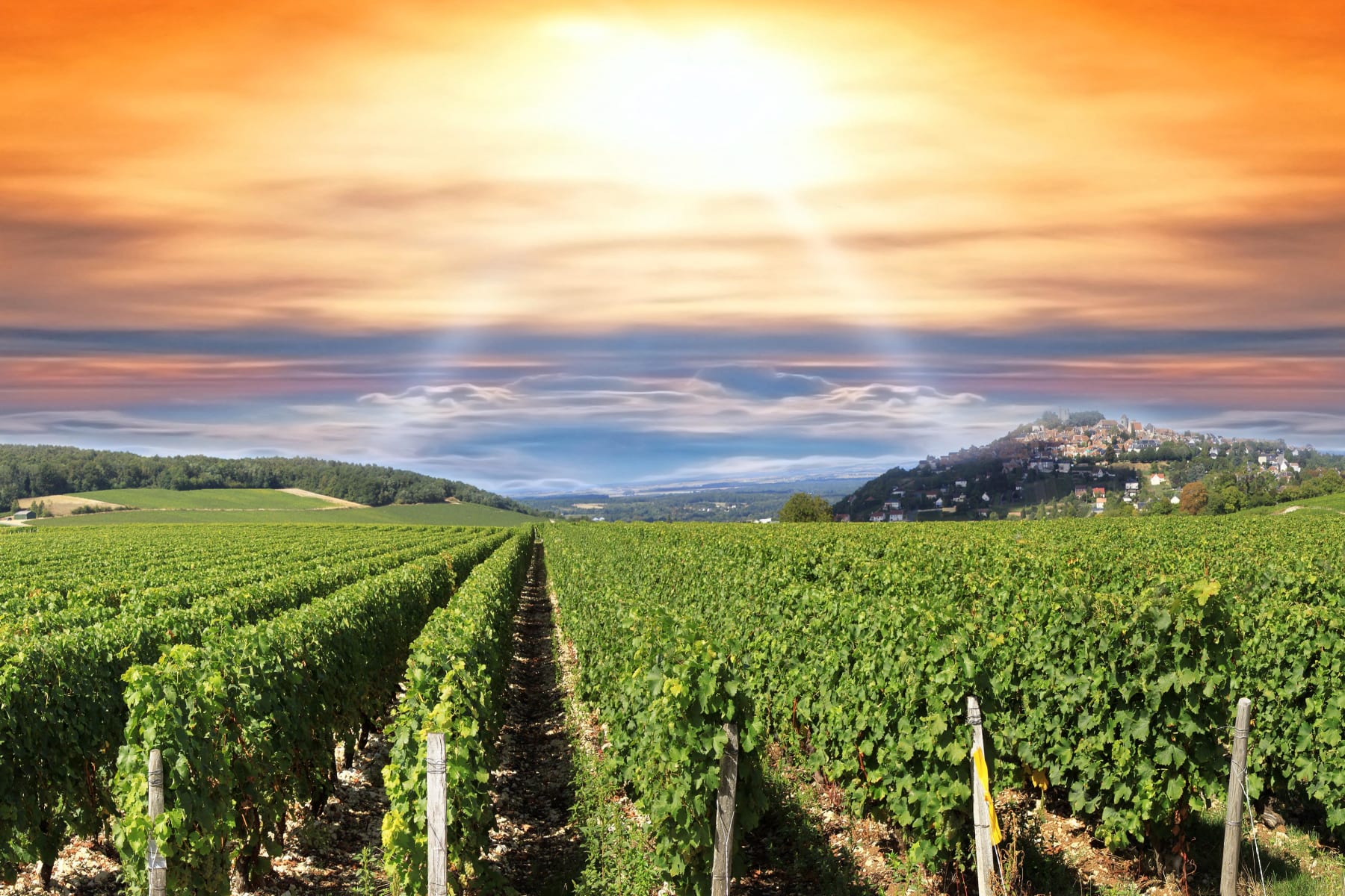 Randonnée Draguignan - Draguignan, la vallée de la Nartuby et ses vignobles